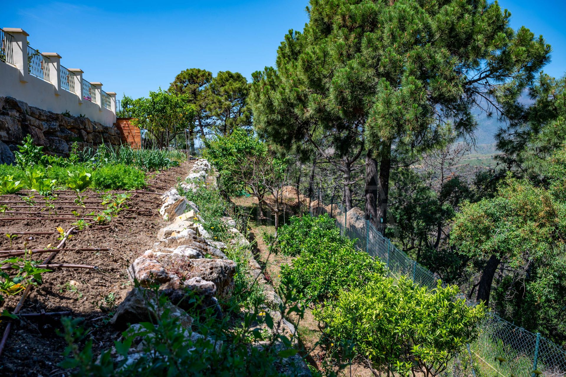 Country House in Estepona