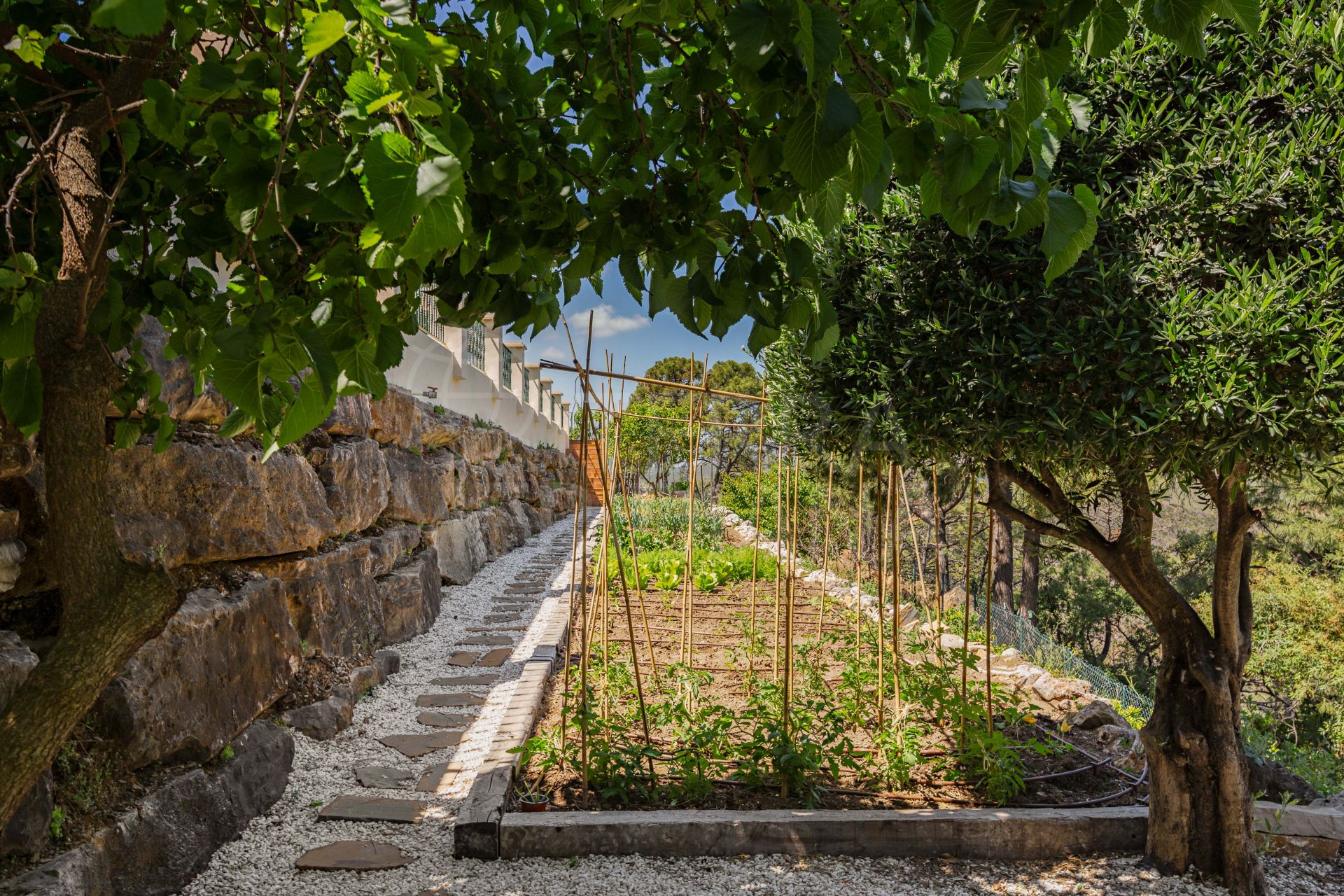 Country House in Estepona