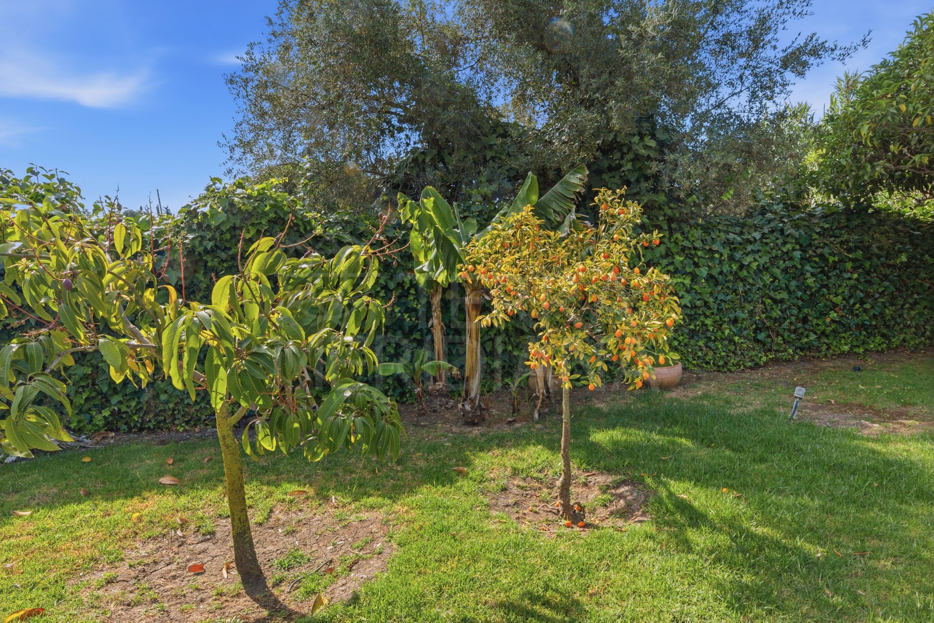 Country House in Estepona Town, Estepona