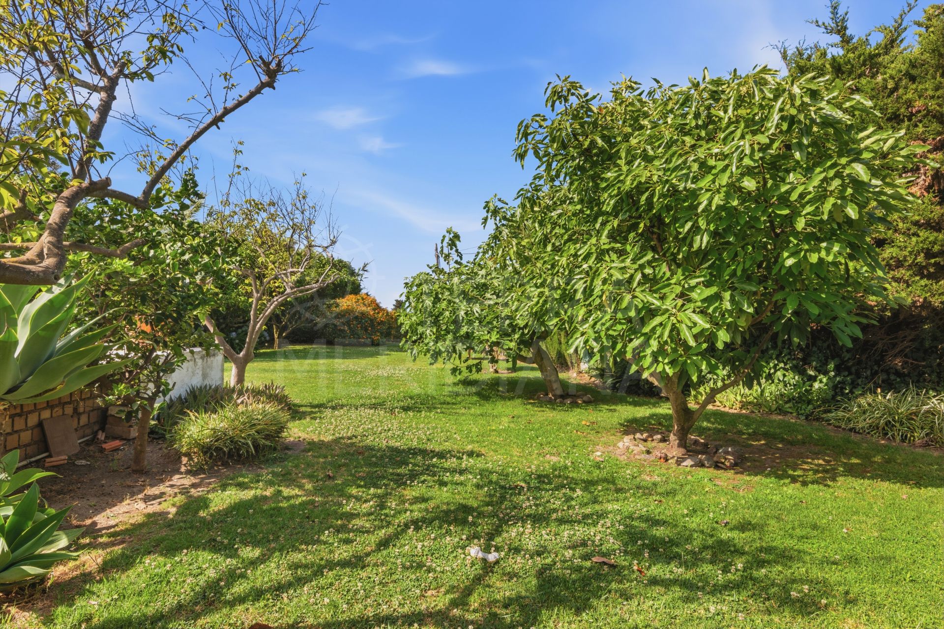 Country House in Estepona Town, Estepona