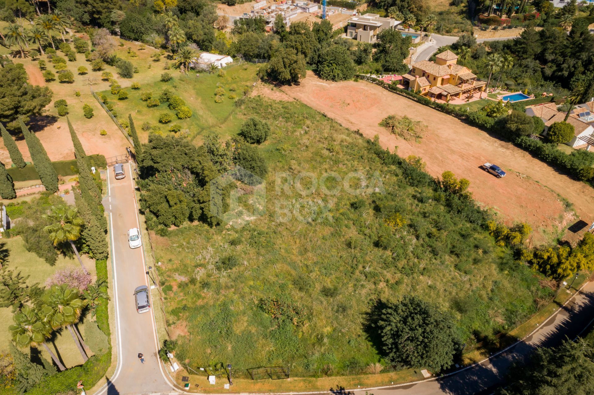 Plot with project and with license with sea views in Cascada de Camojan, Marbella Golden Mile