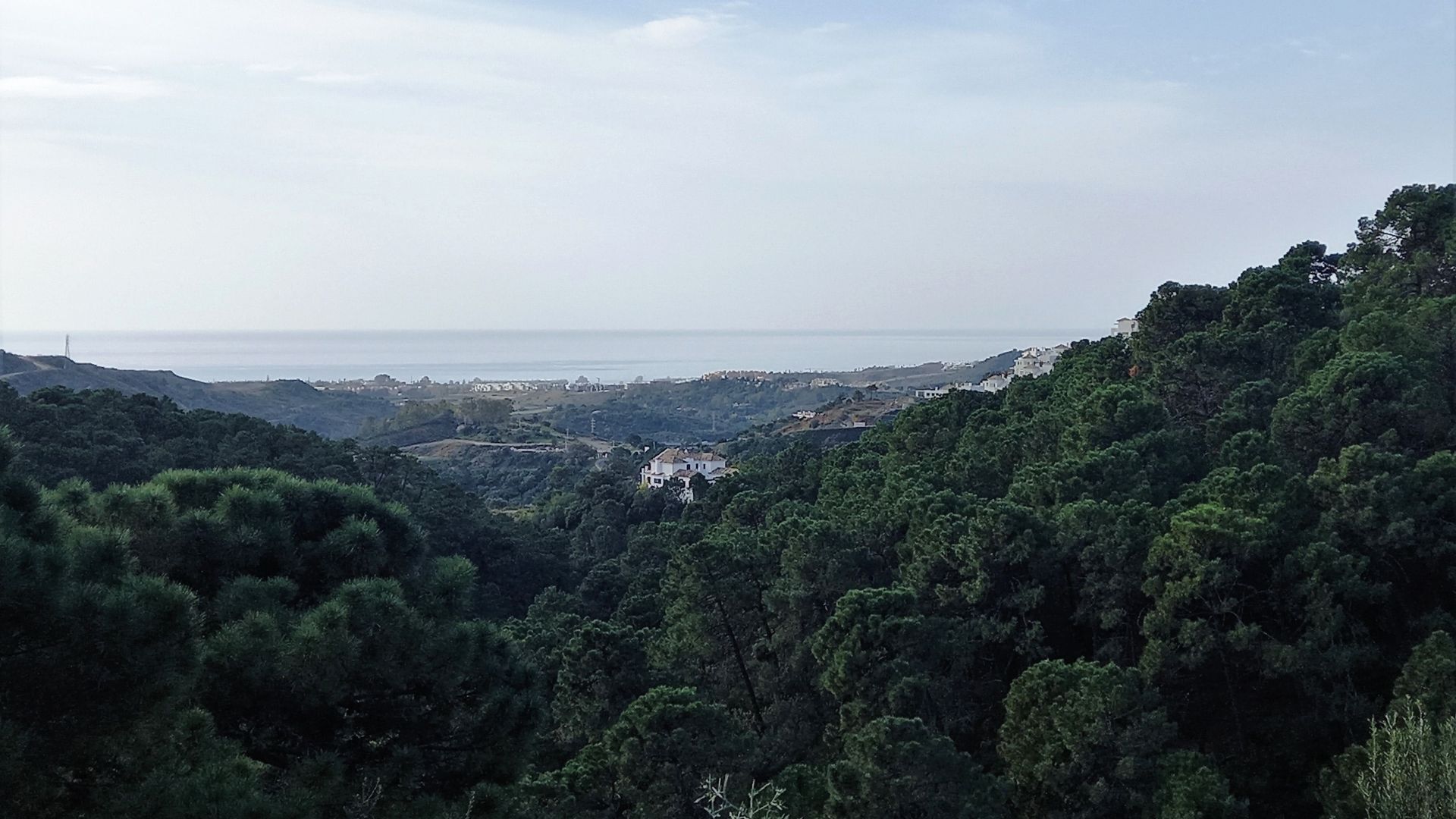 Plot with open views to the forest and the sea | Engel & Völkers Marbella