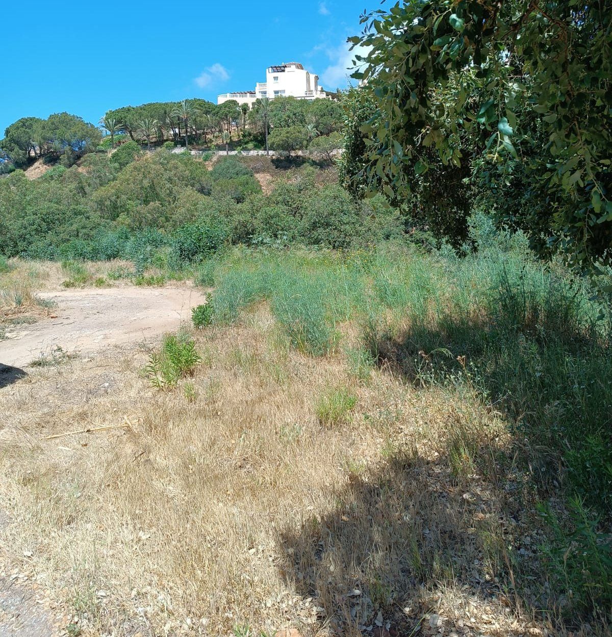 Plot in quiet area in Elviria | Engel & Völkers Marbella