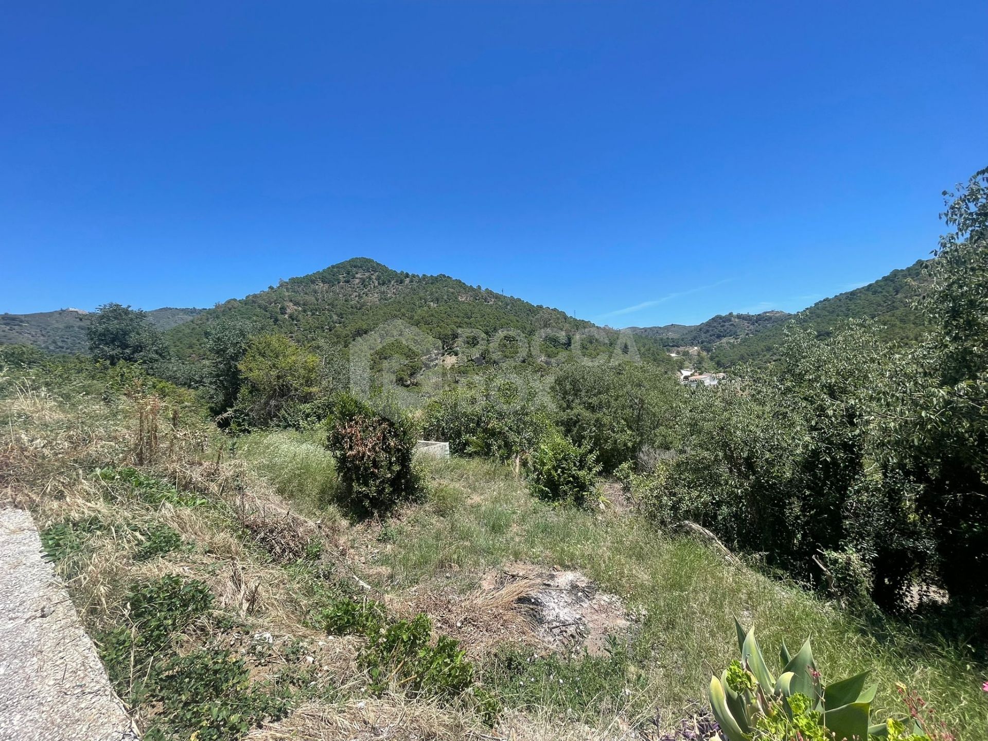 Plot for sale in Ojen