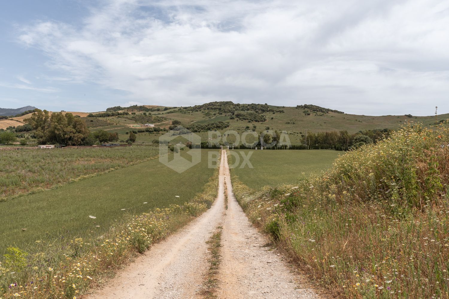 Stunning Equestrian Estate Near Sotogrande