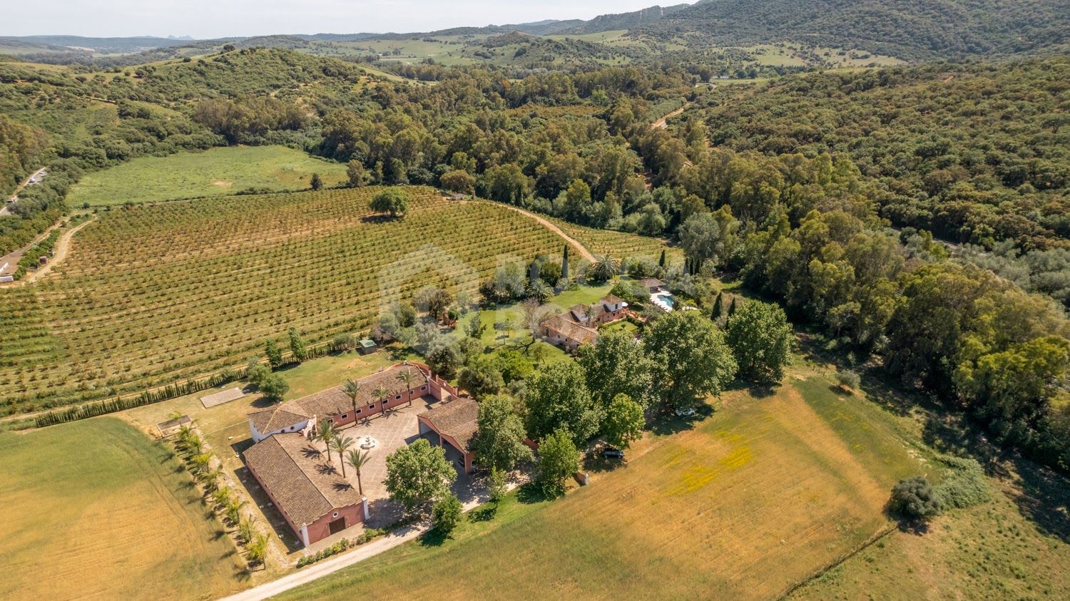Stunning Equestrian Estate Near Sotogrande