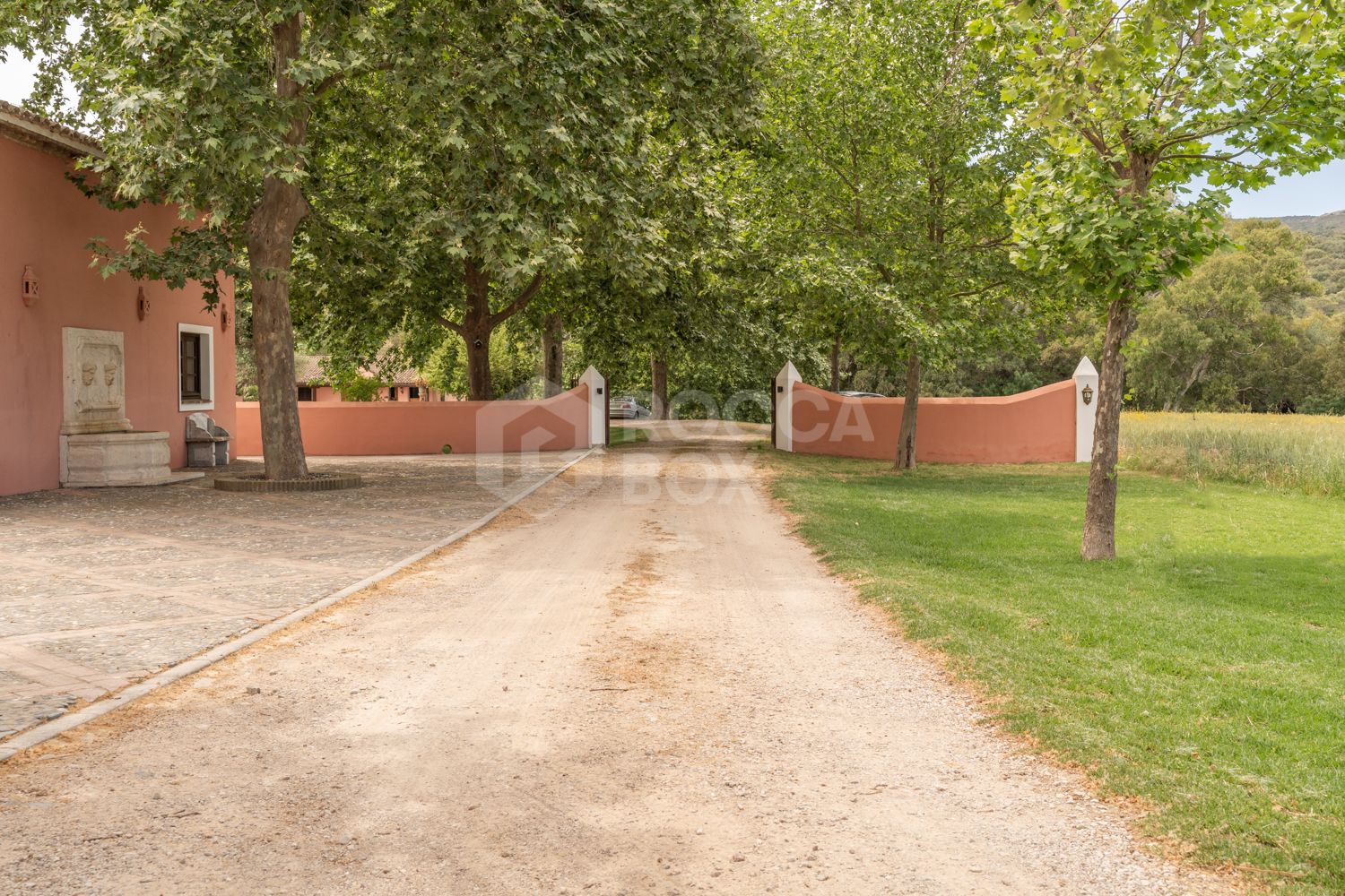 Stunning Equestrian Estate Near Sotogrande