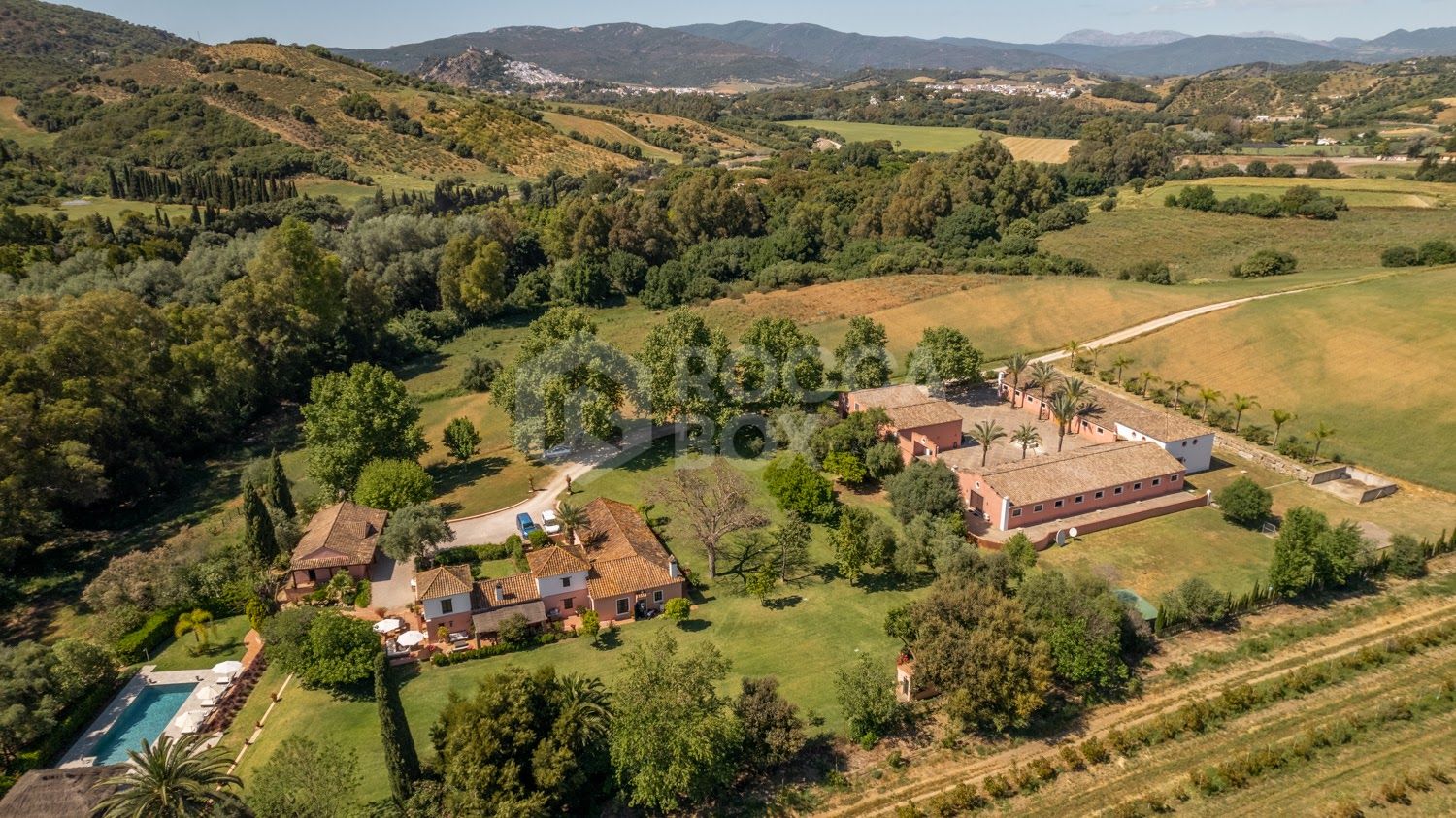 Stunning Equestrian Estate Near Sotogrande