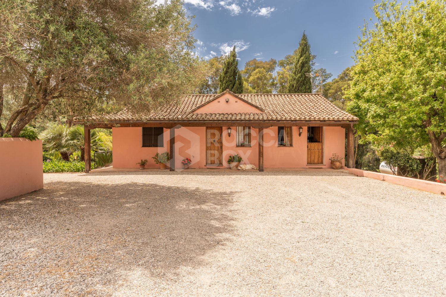 Stunning Equestrian Estate Near Sotogrande