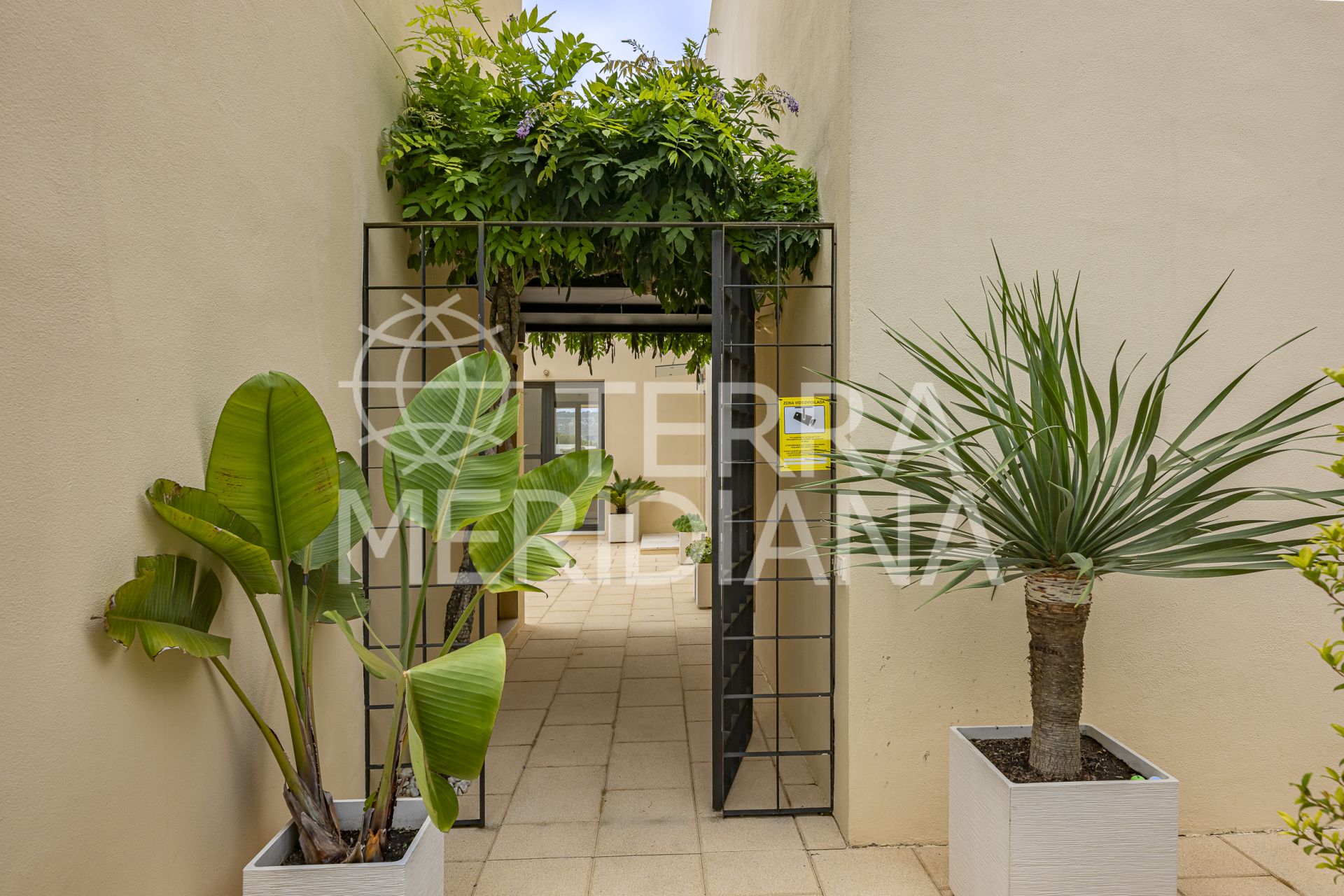 Villa in Sotogrande Alto, Sotogrande