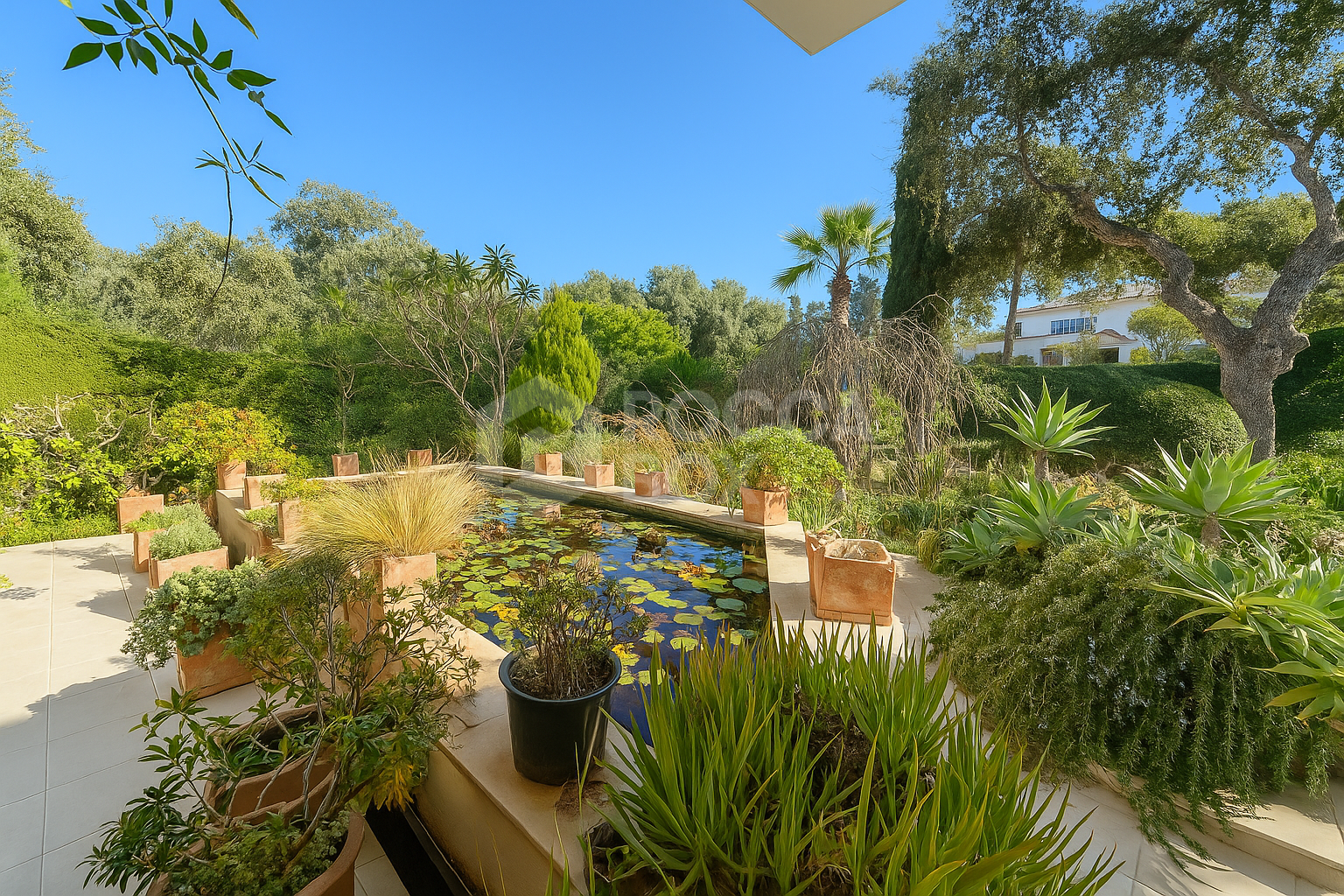 Elegant Villa with Private Garden and Pool in Sotogrande Alto Central