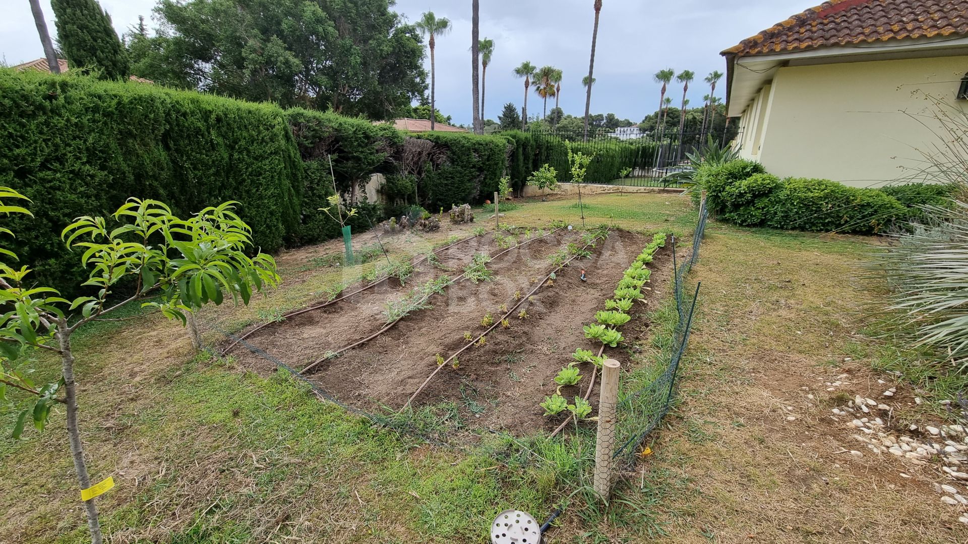 Spacious 7-Bedroom Villa with Pool in Sotogrande Costa (B-Zone)