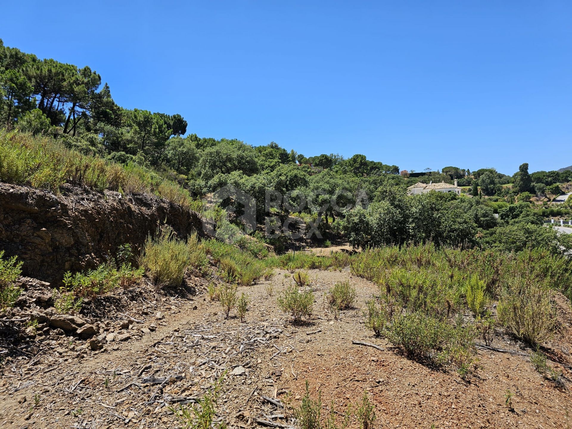 Exceptional Plot in the Exclusive La Zagaleta Community