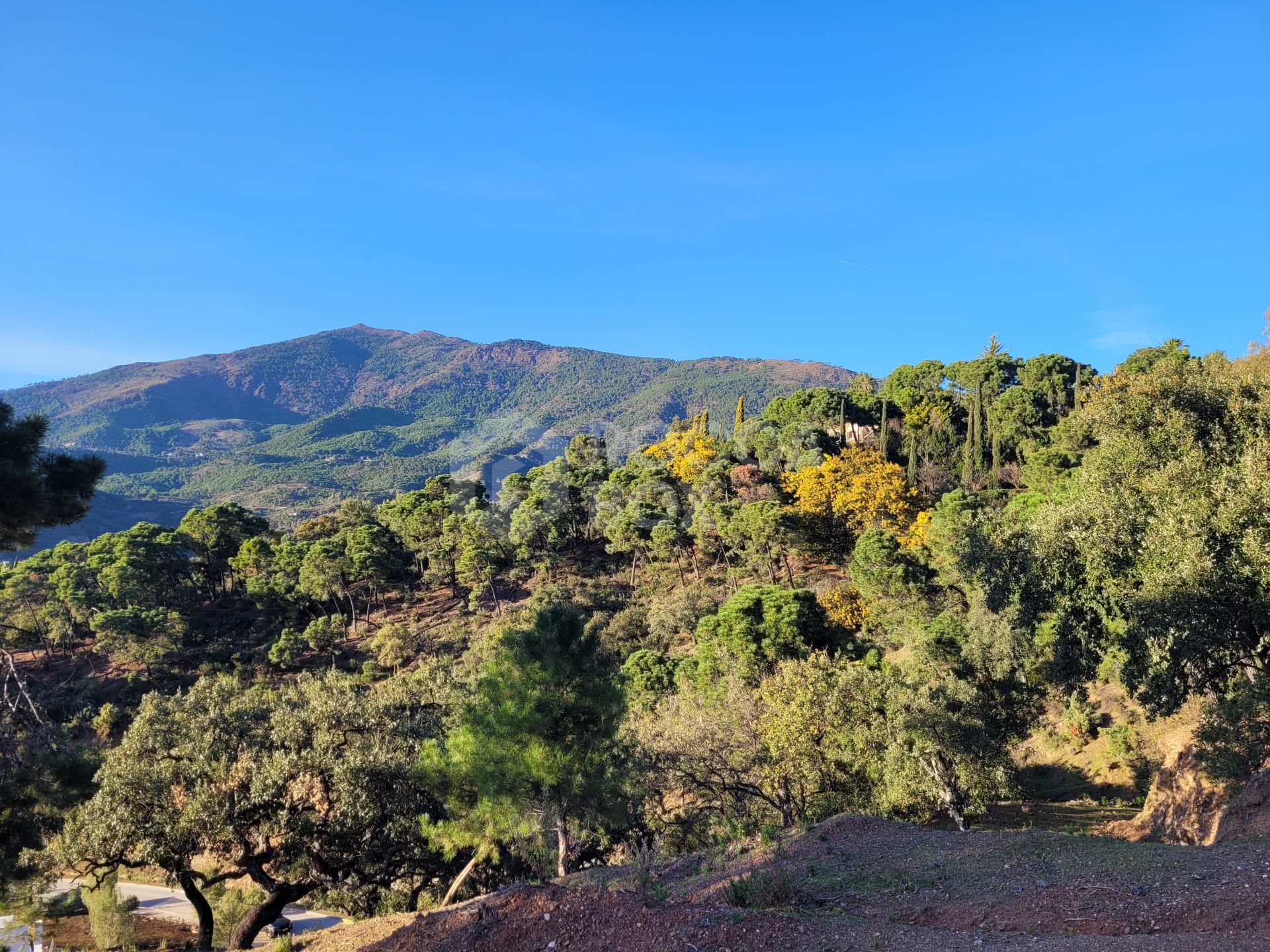 Exceptional Plot in the Exclusive La Zagaleta Community