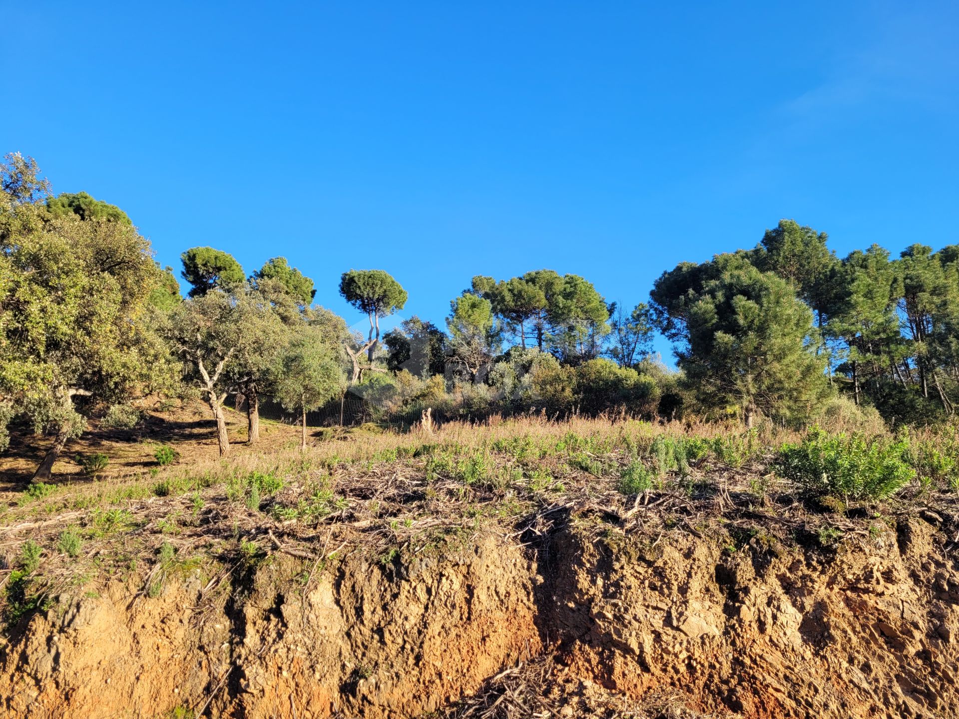 Exceptional Plot in the Exclusive La Zagaleta Community