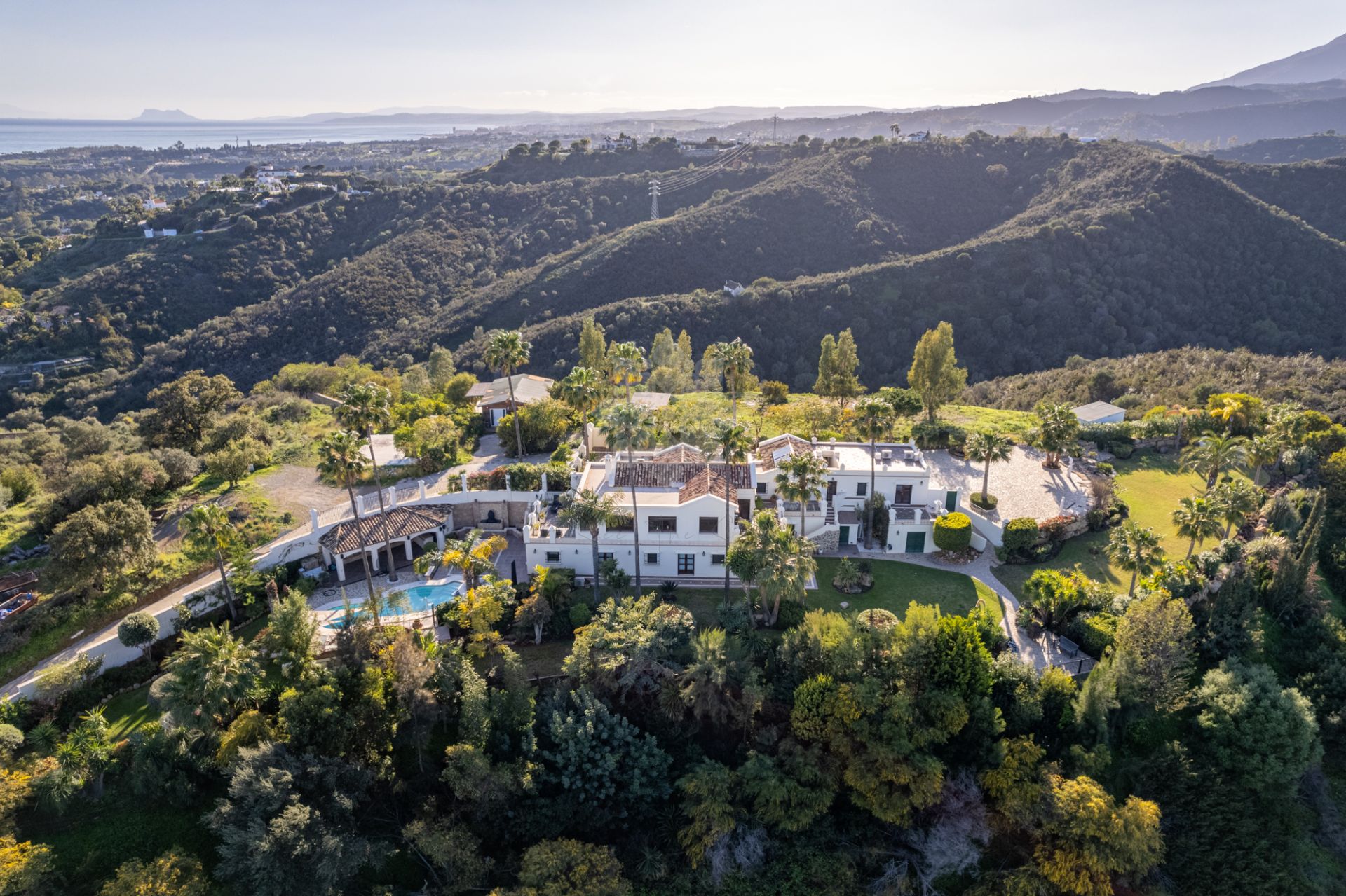 Villa in New Golden Mile, Estepona