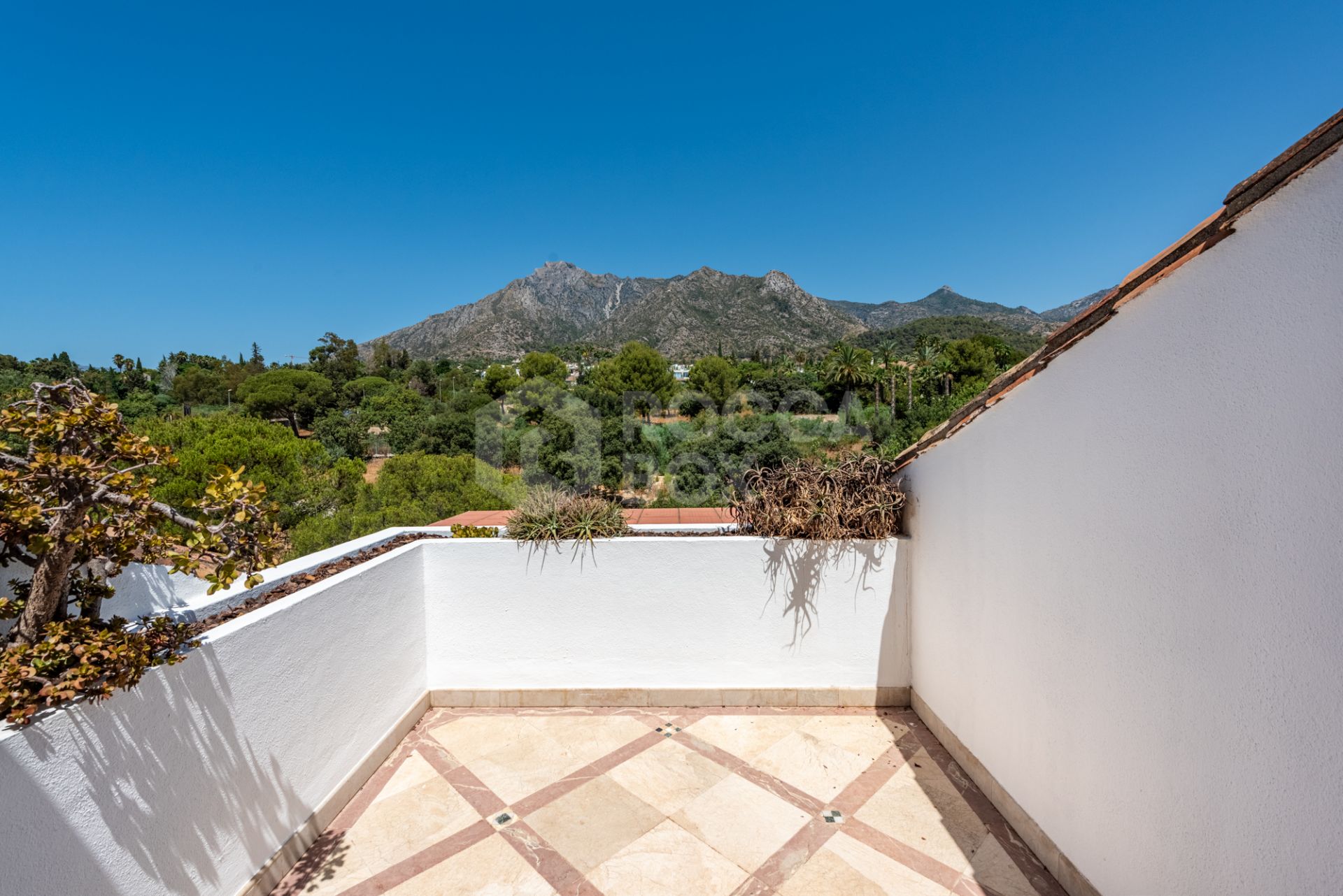 Amazing penthouse above Marbella town; ideal for cooking, winetasting and entertaining!