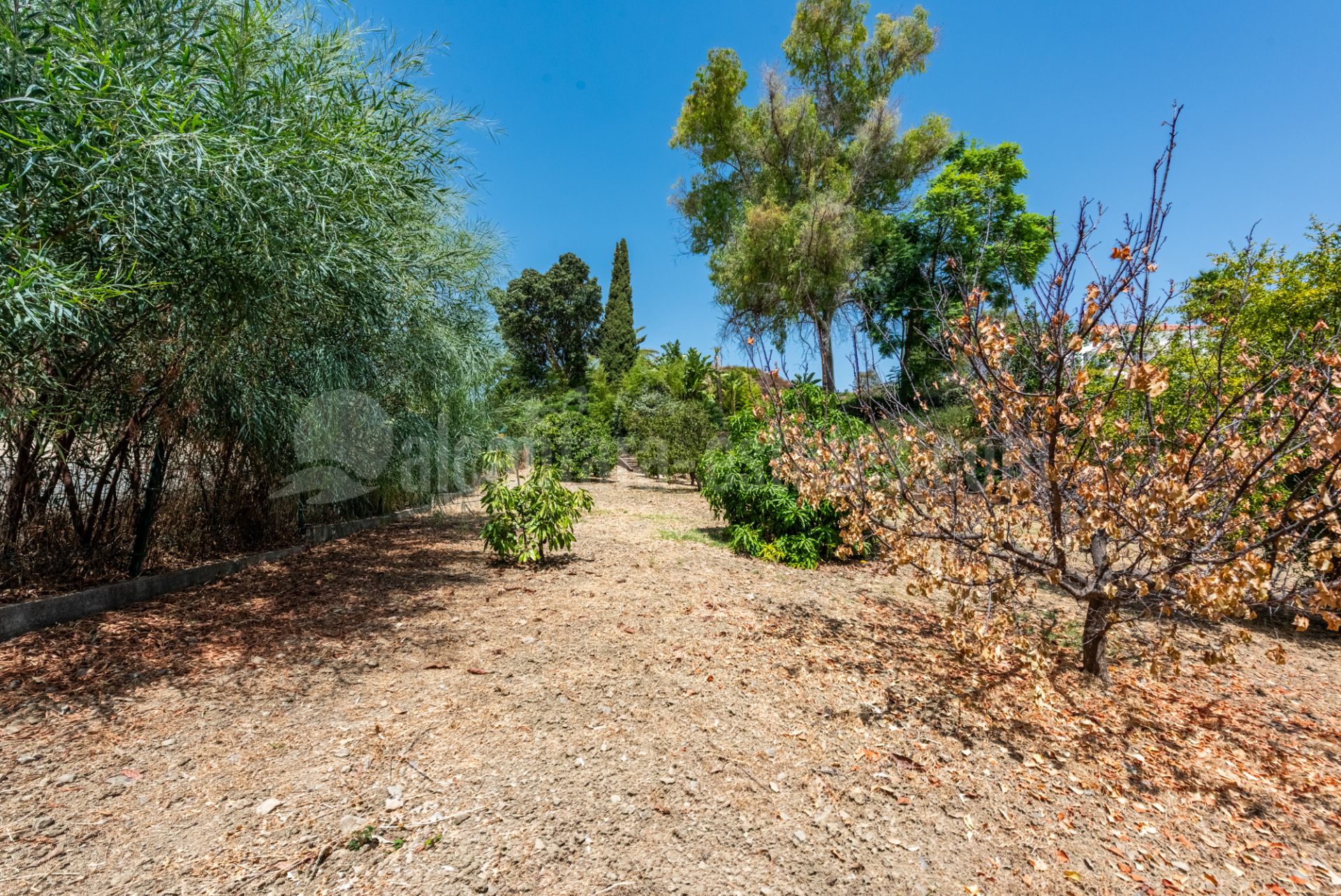 Villa in Vega del Colorado, Benahavis