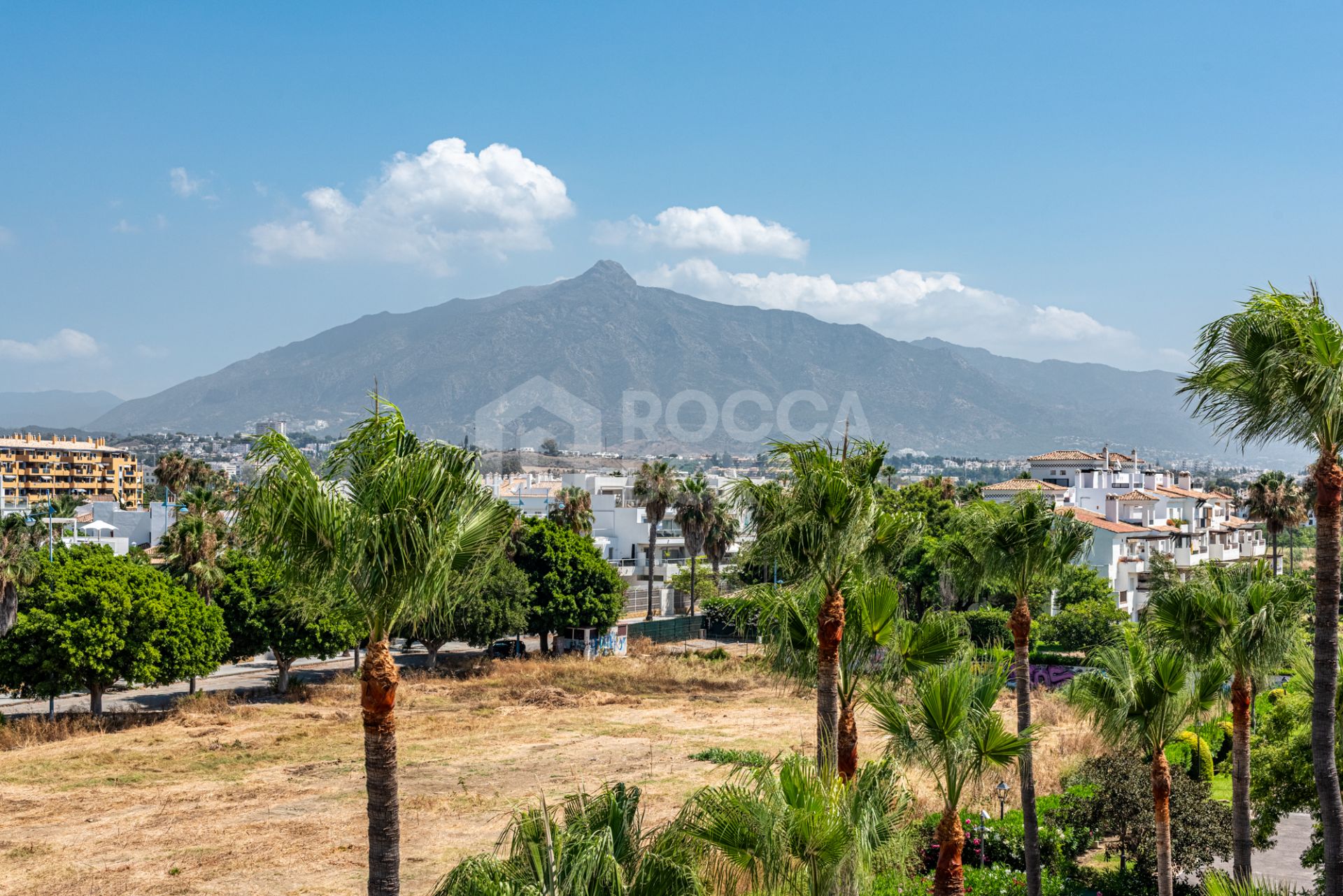 Beachside Penthouse with Panoramic Sea Views in Bahía Alcántara!