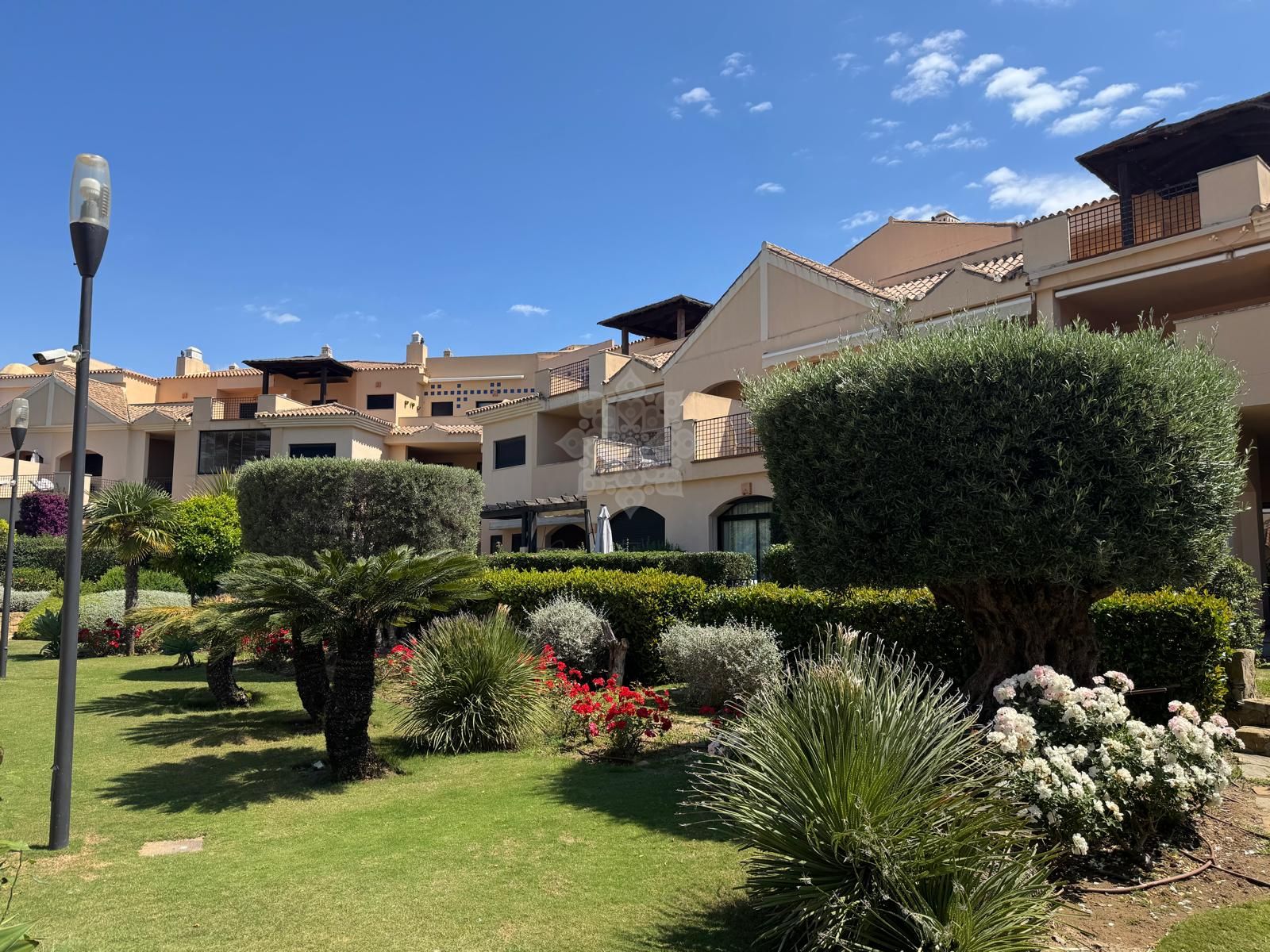 Apartment in Las Mimosas, Marbella