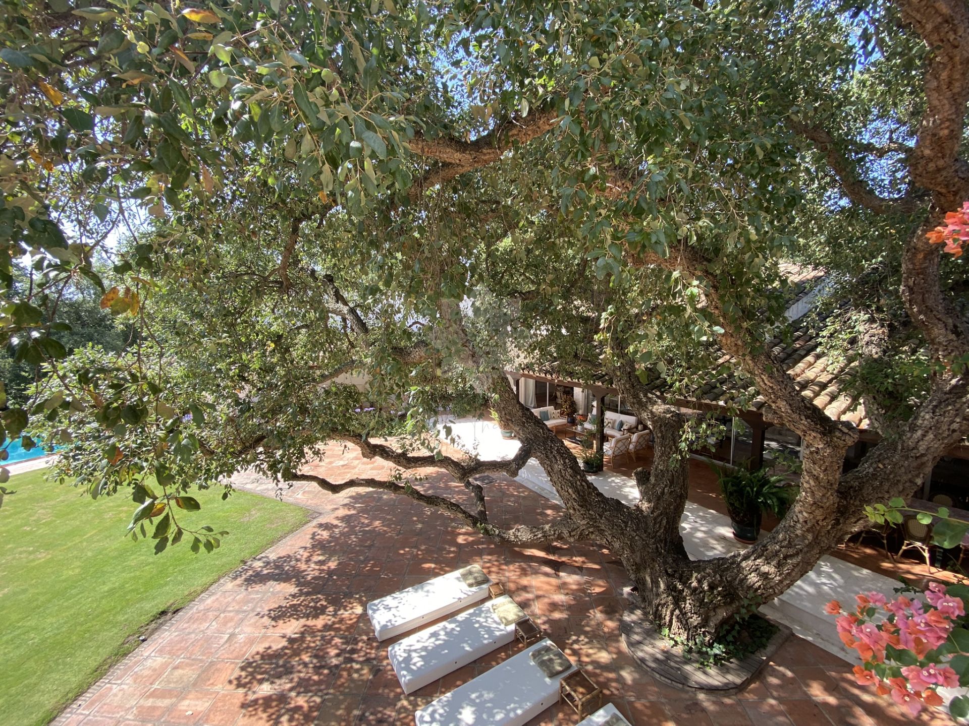 Villa in Kings & Queens, Sotogrande