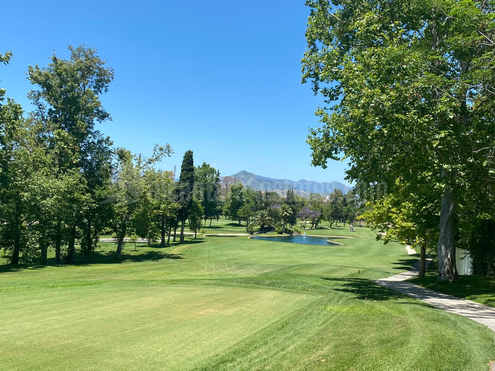 Villa in Guadalmina Alta, San Pedro de Alcantara