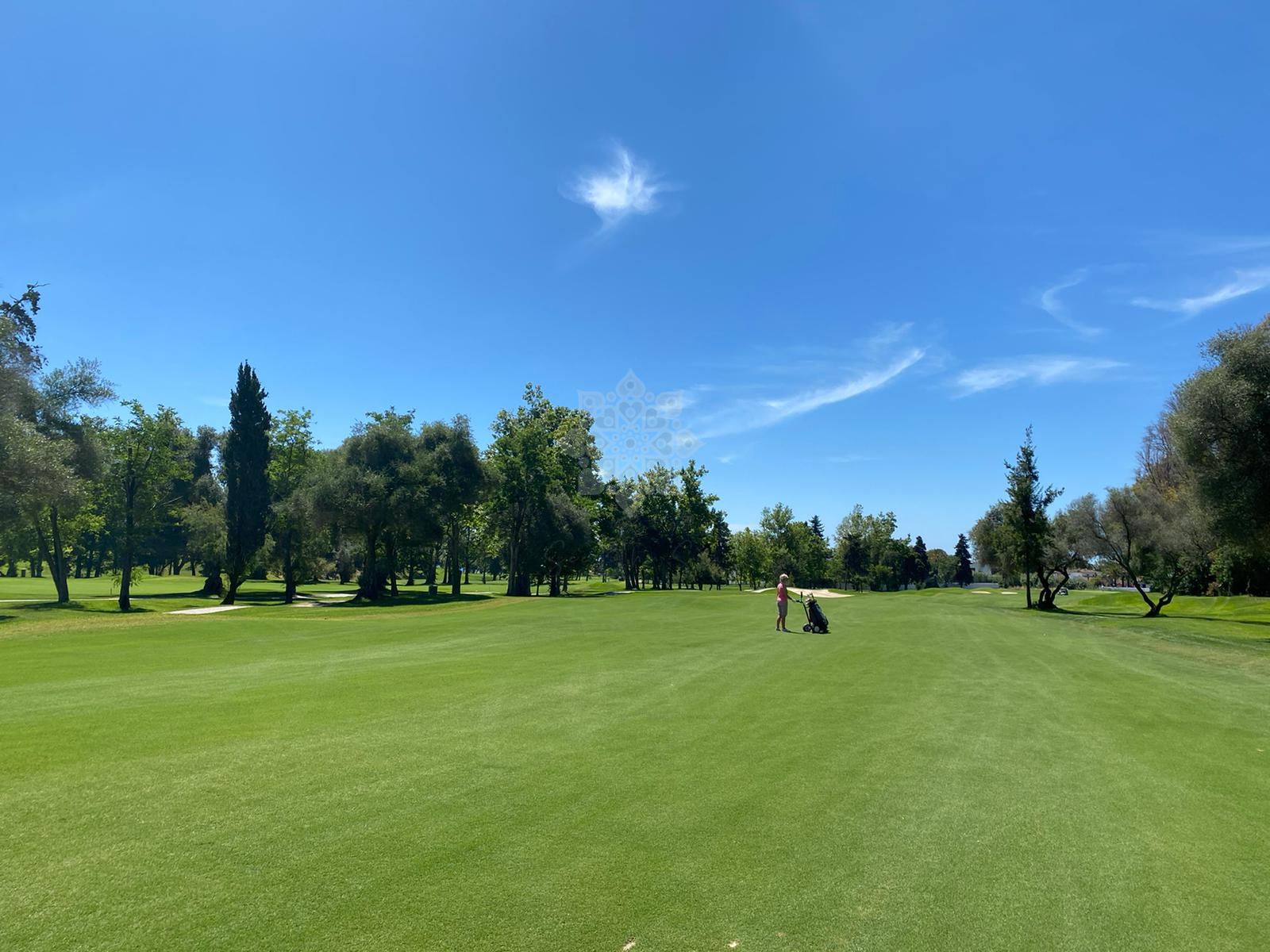 Villa in Guadalmina Alta, San Pedro de Alcantara