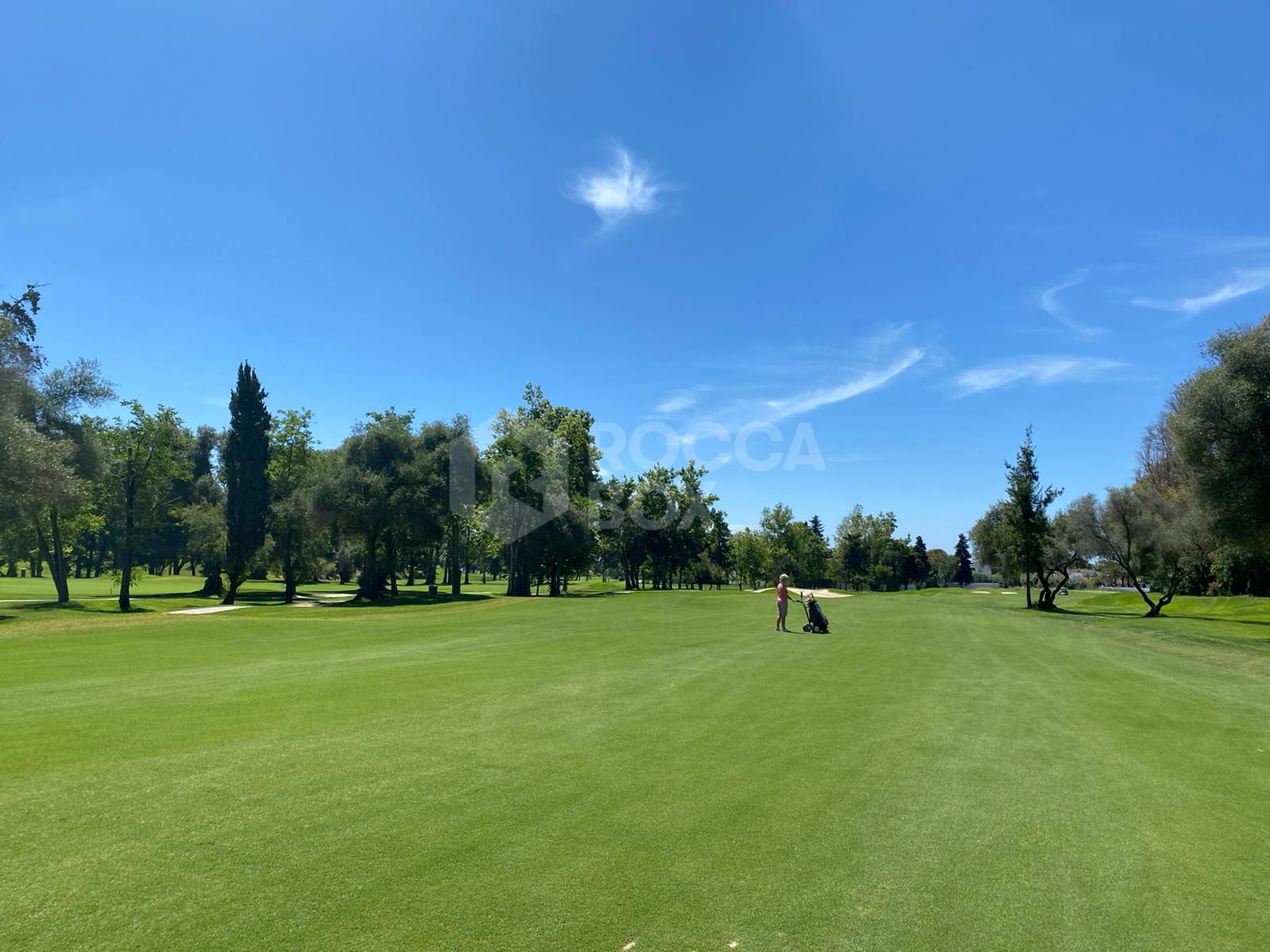 Villa with private pool on the golf course front line – Isla de Guadalmina, Guadalmina Alta