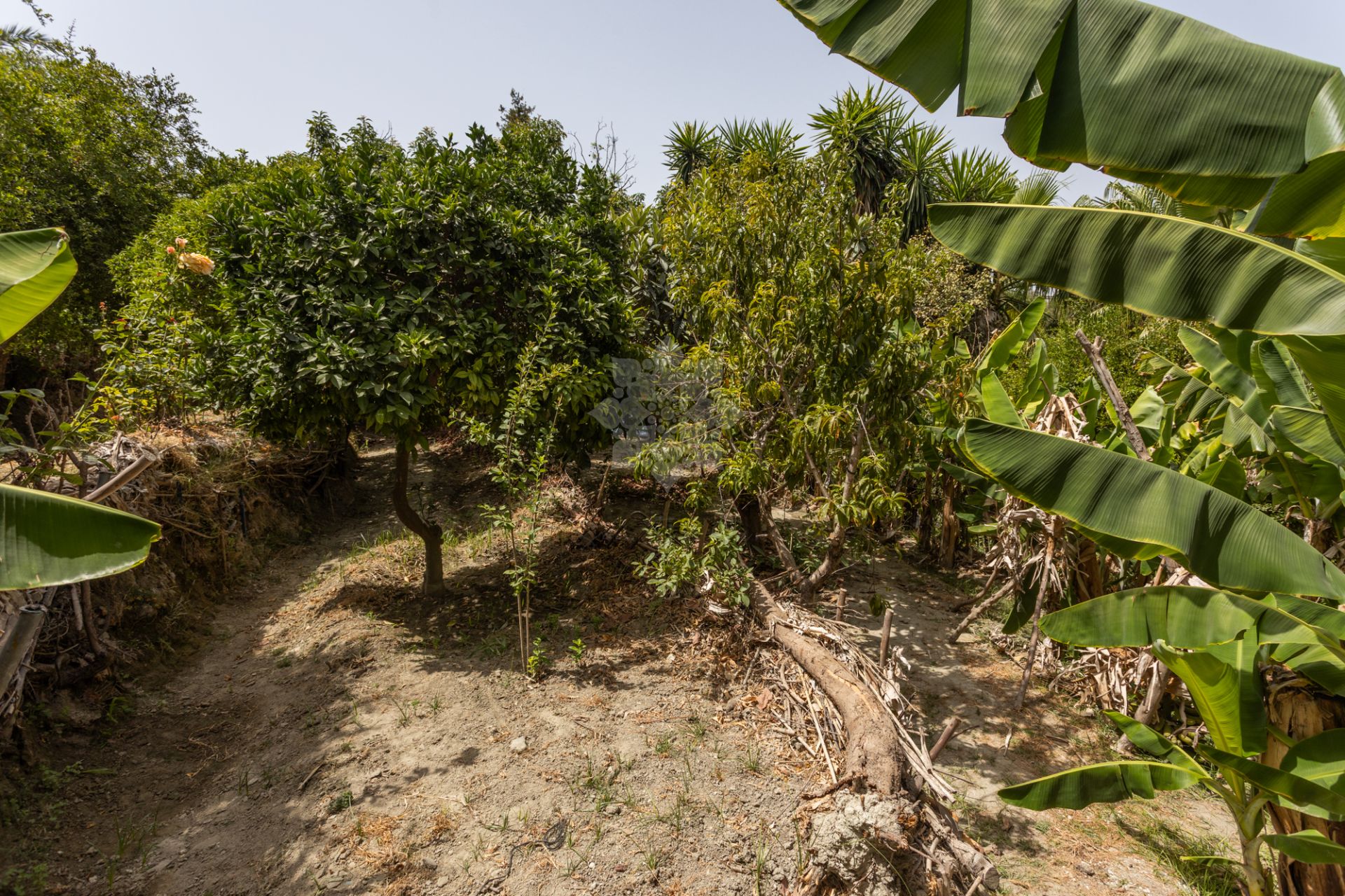 Country House in Valle del Sol, San Pedro de Alcantara