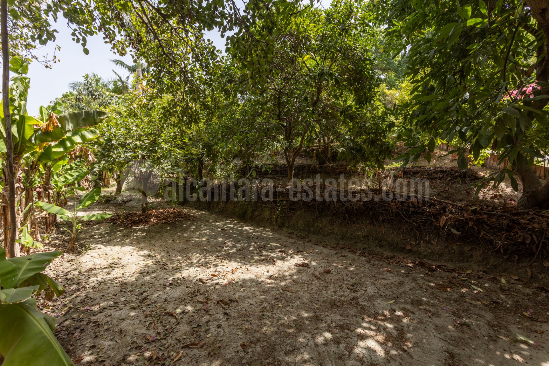 Country House in Valle del Sol, San Pedro de Alcantara