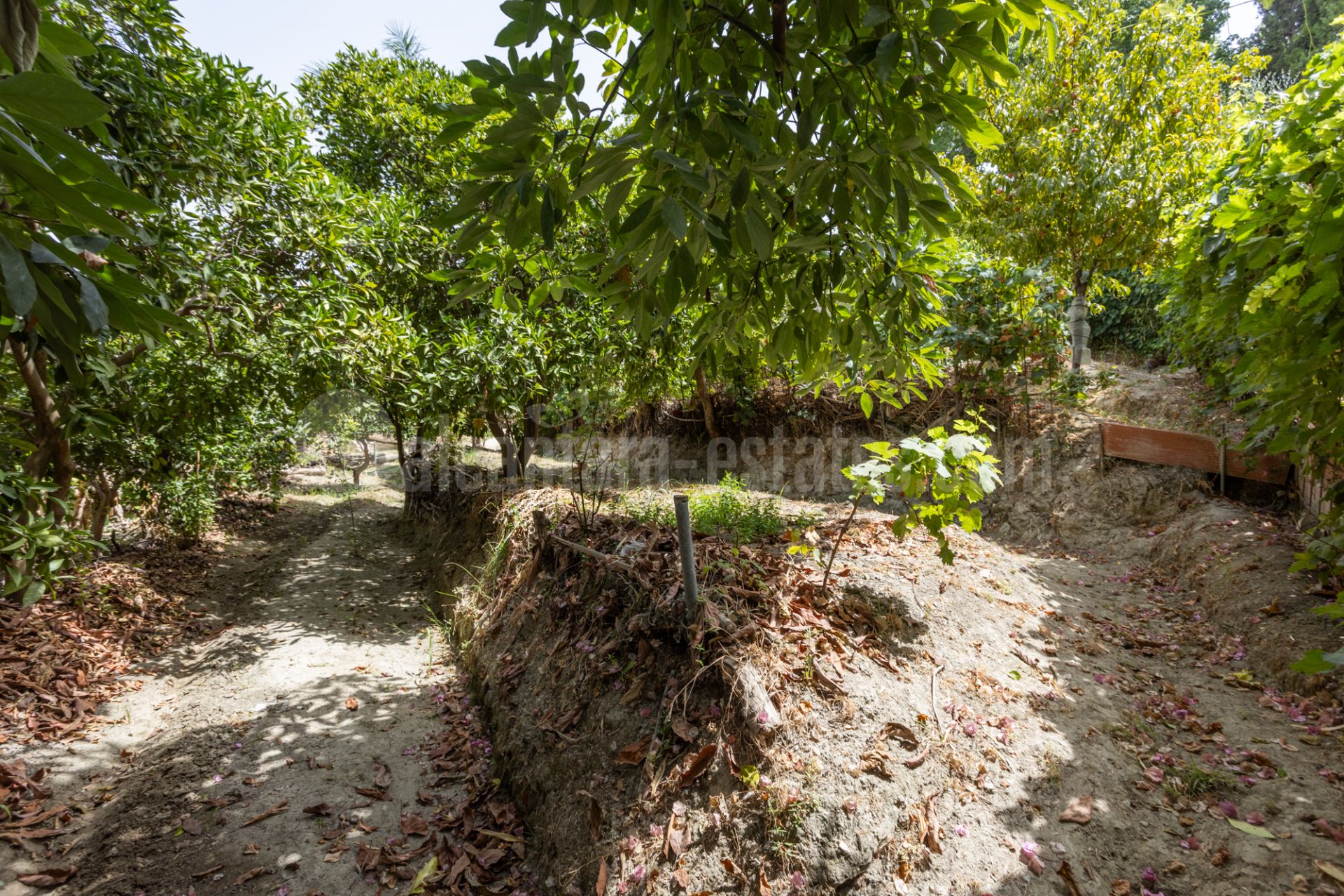Country House in Valle del Sol, San Pedro de Alcantara