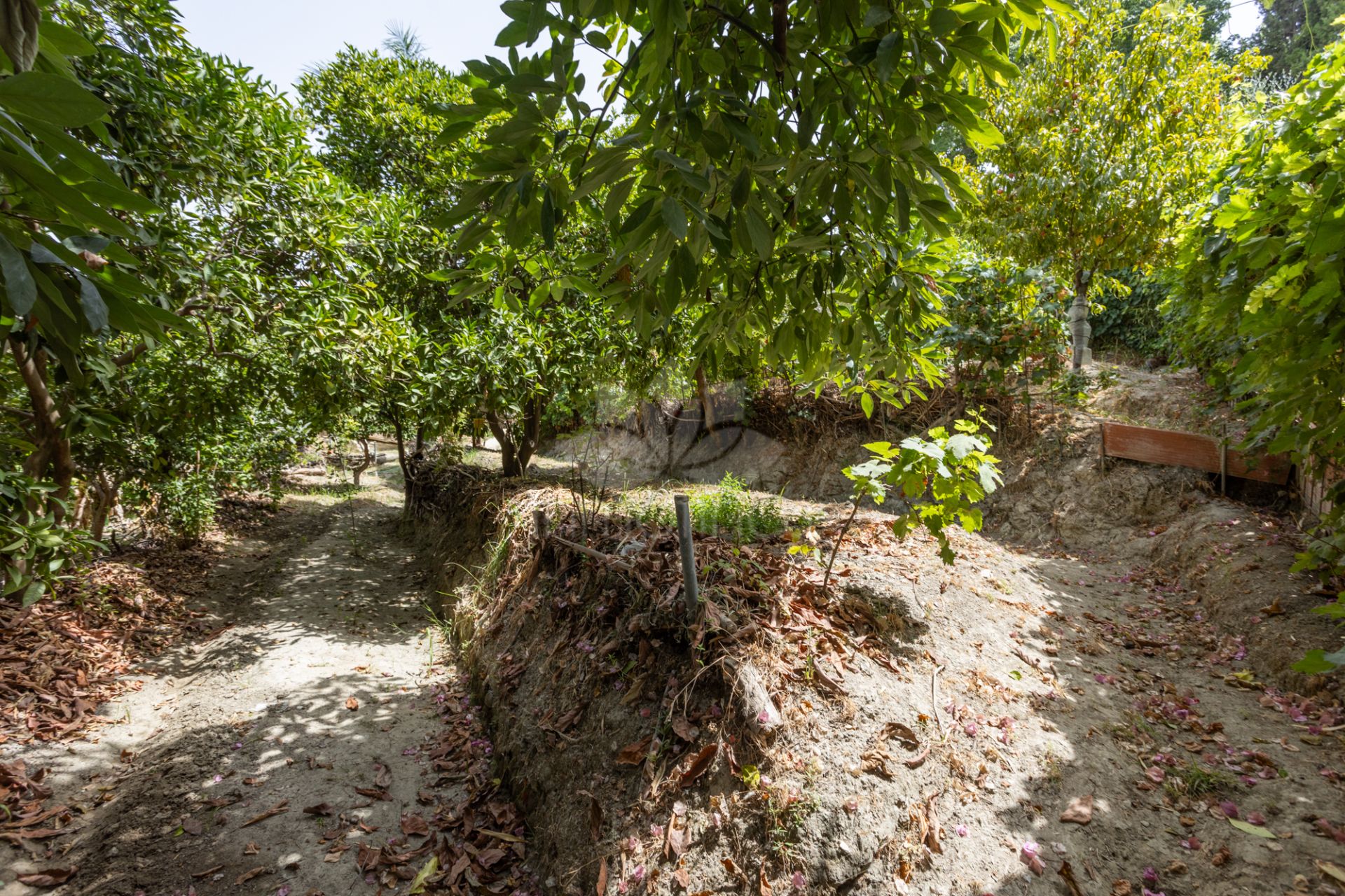 Country House in Valle del Sol, San Pedro de Alcantara