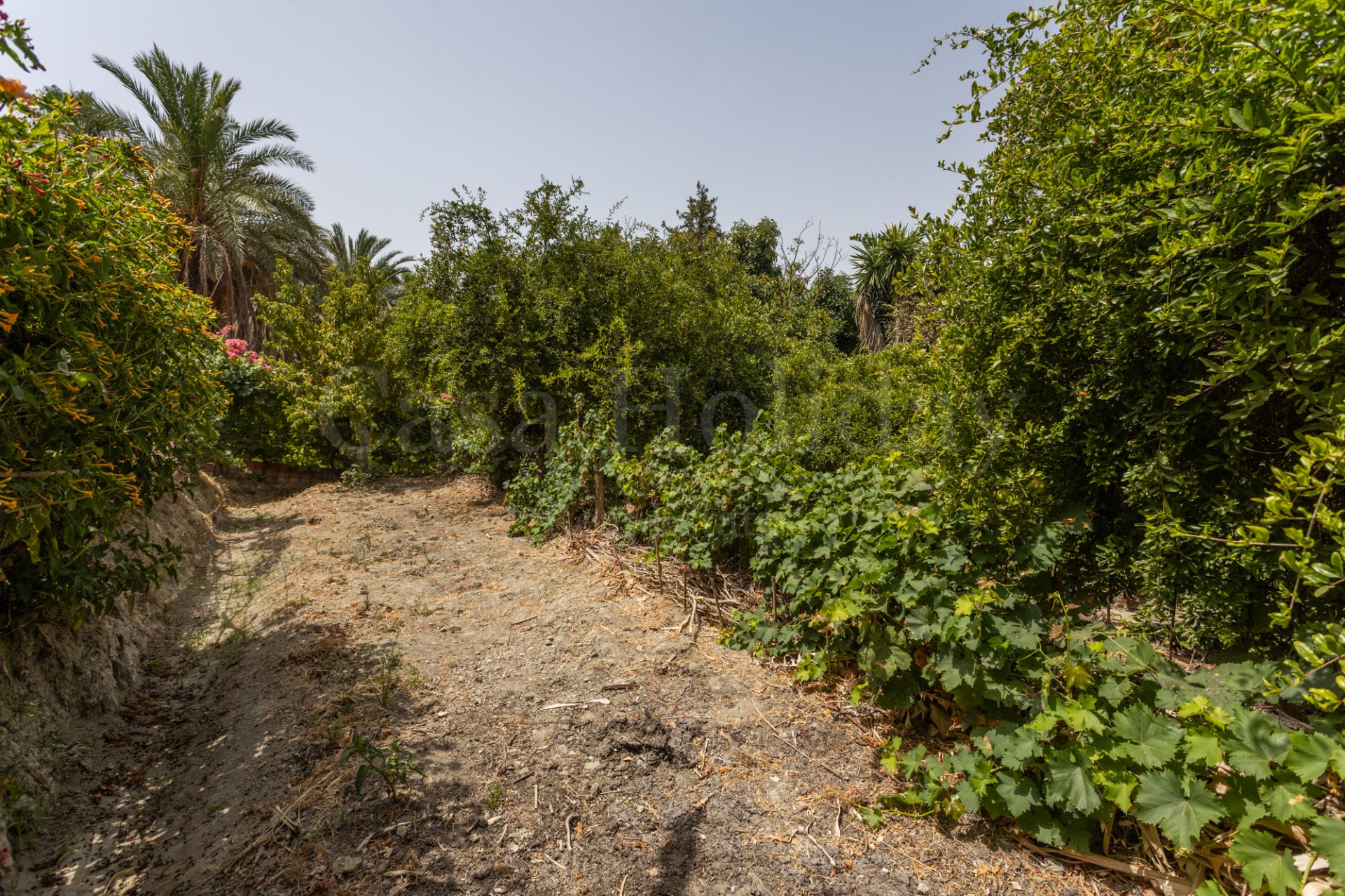 Country House in Valle del Sol, San Pedro de Alcantara