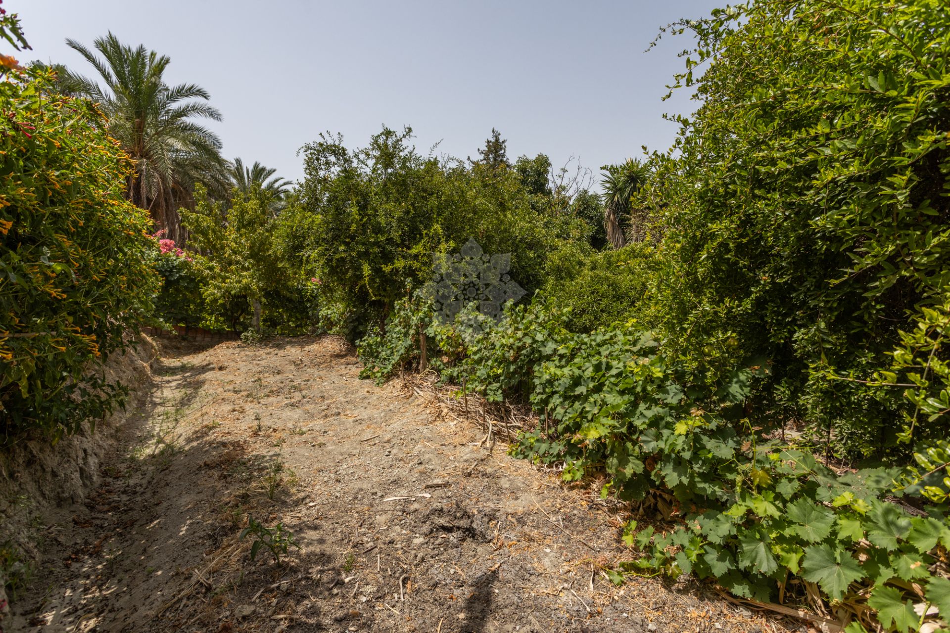Country House in Valle del Sol, San Pedro de Alcantara