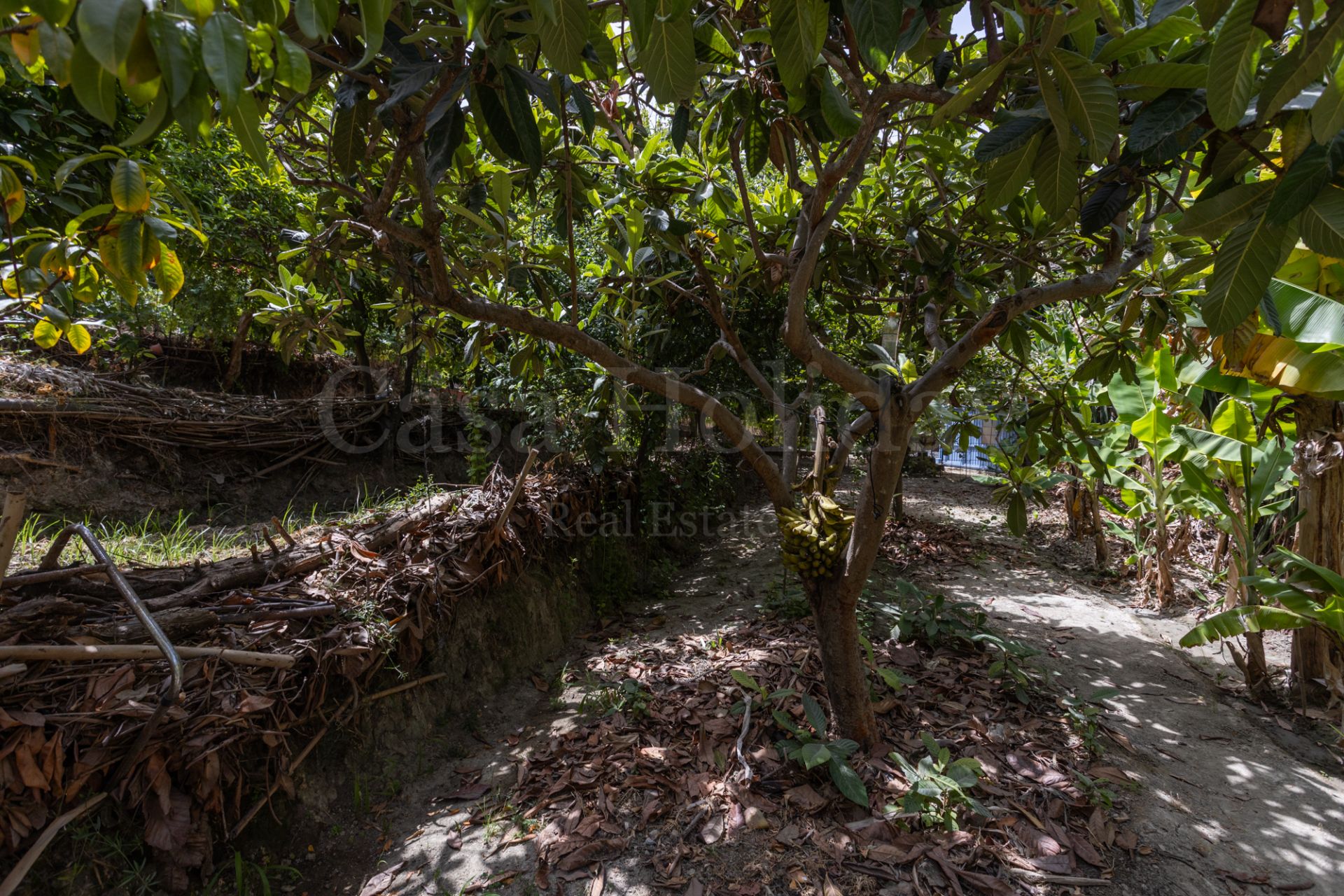 Country House in Valle del Sol, San Pedro de Alcantara