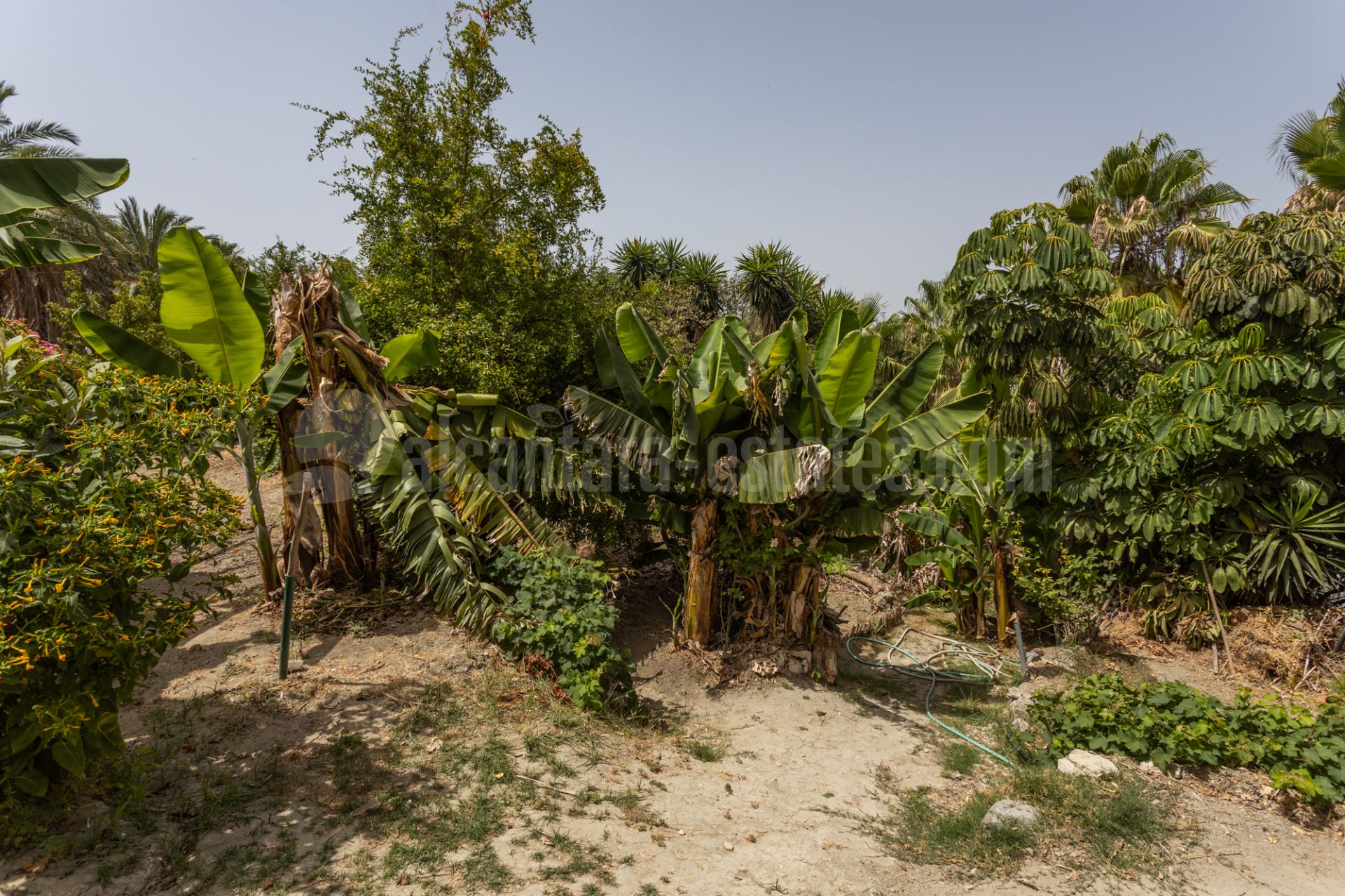 Country House in Valle del Sol, San Pedro de Alcantara