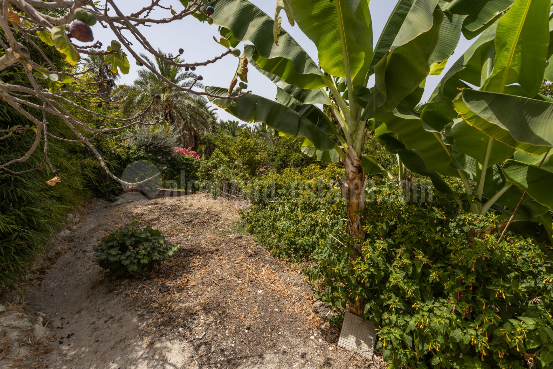 Country House in Valle del Sol, San Pedro de Alcantara