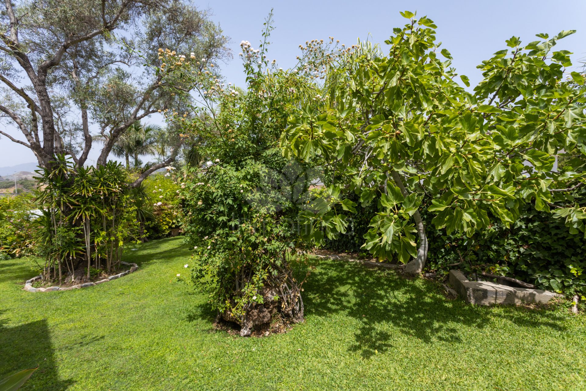 Country House in Valle del Sol, San Pedro de Alcantara