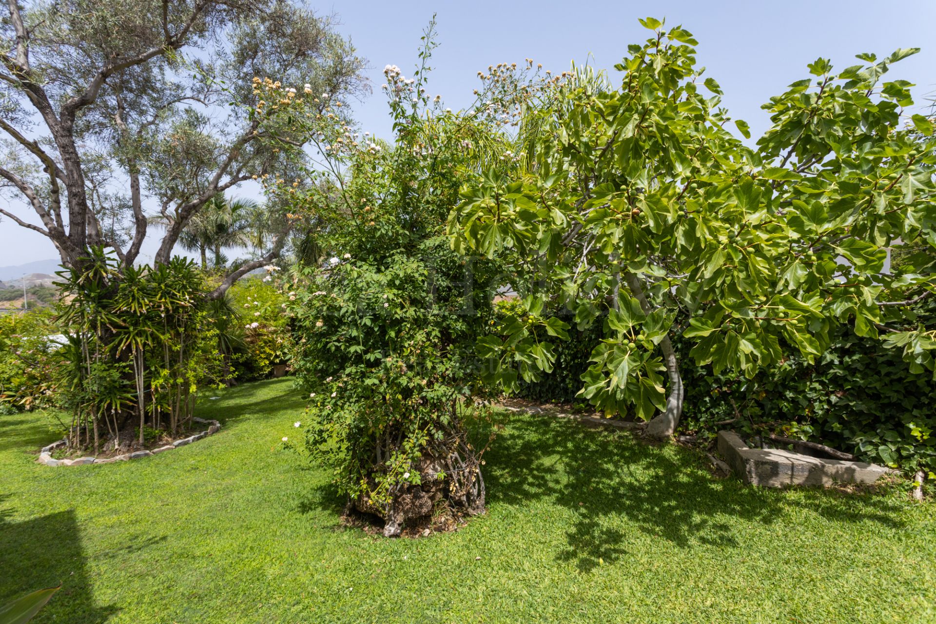 Country House in Valle del Sol, San Pedro de Alcantara