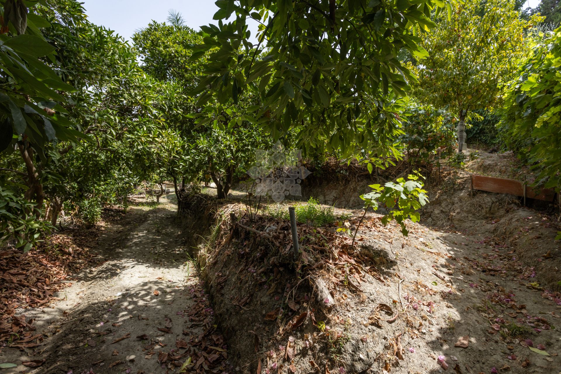 Country House in Valle del Sol, San Pedro de Alcantara
