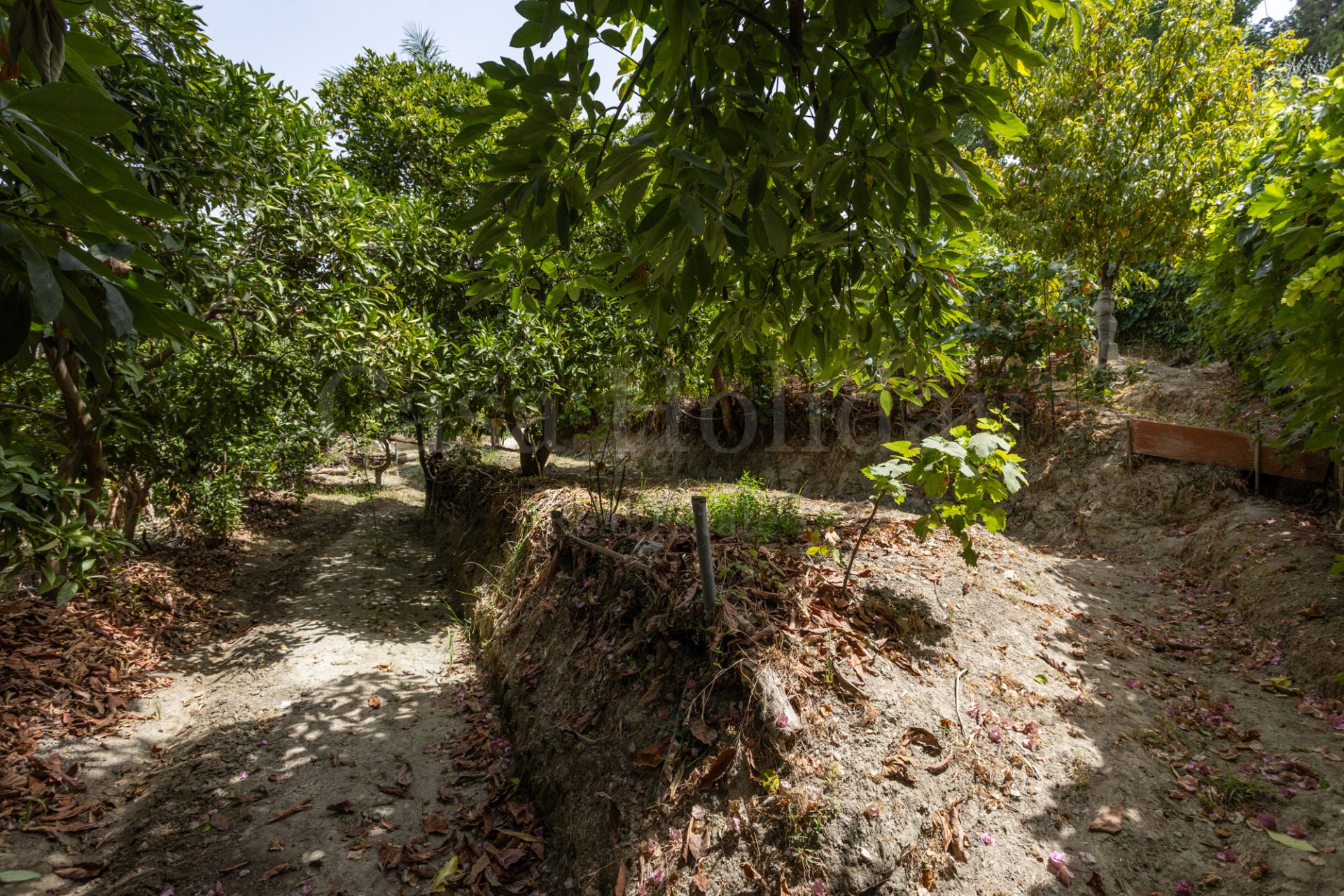 Country House in Valle del Sol, San Pedro de Alcantara