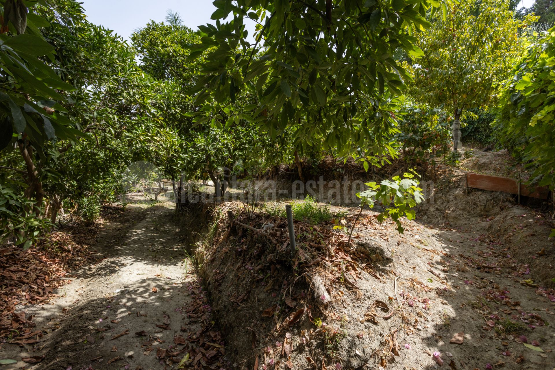 Country House in Valle del Sol, San Pedro de Alcantara