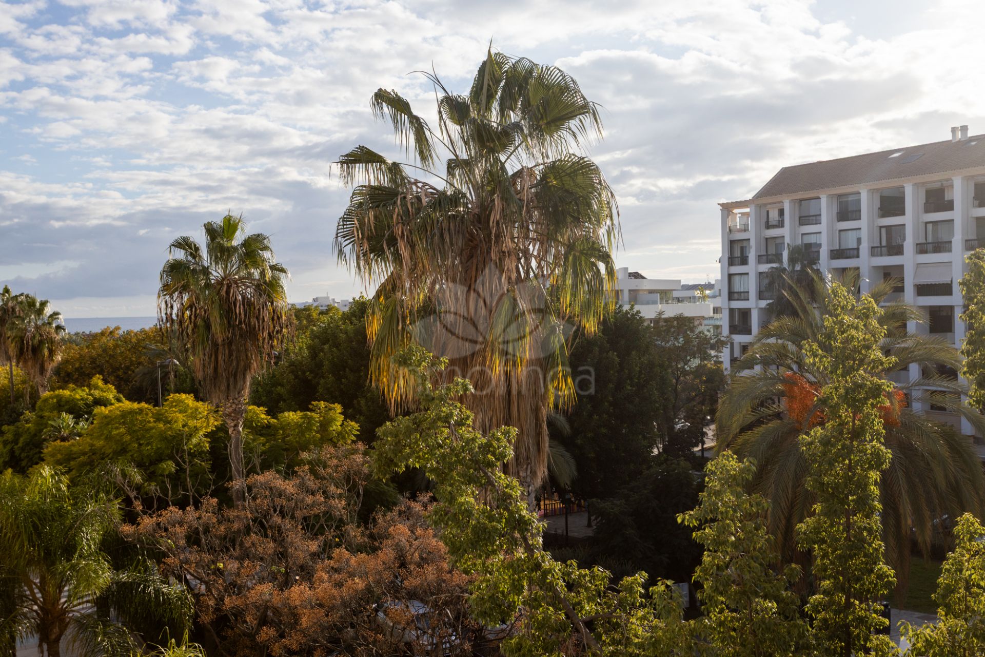 Duplex Penthouse in San Pedro de Alcantara
