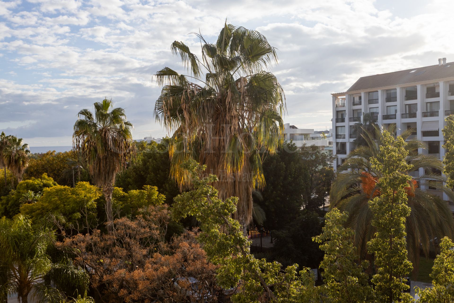 Atico Duplex en San Pedro de Alcantara