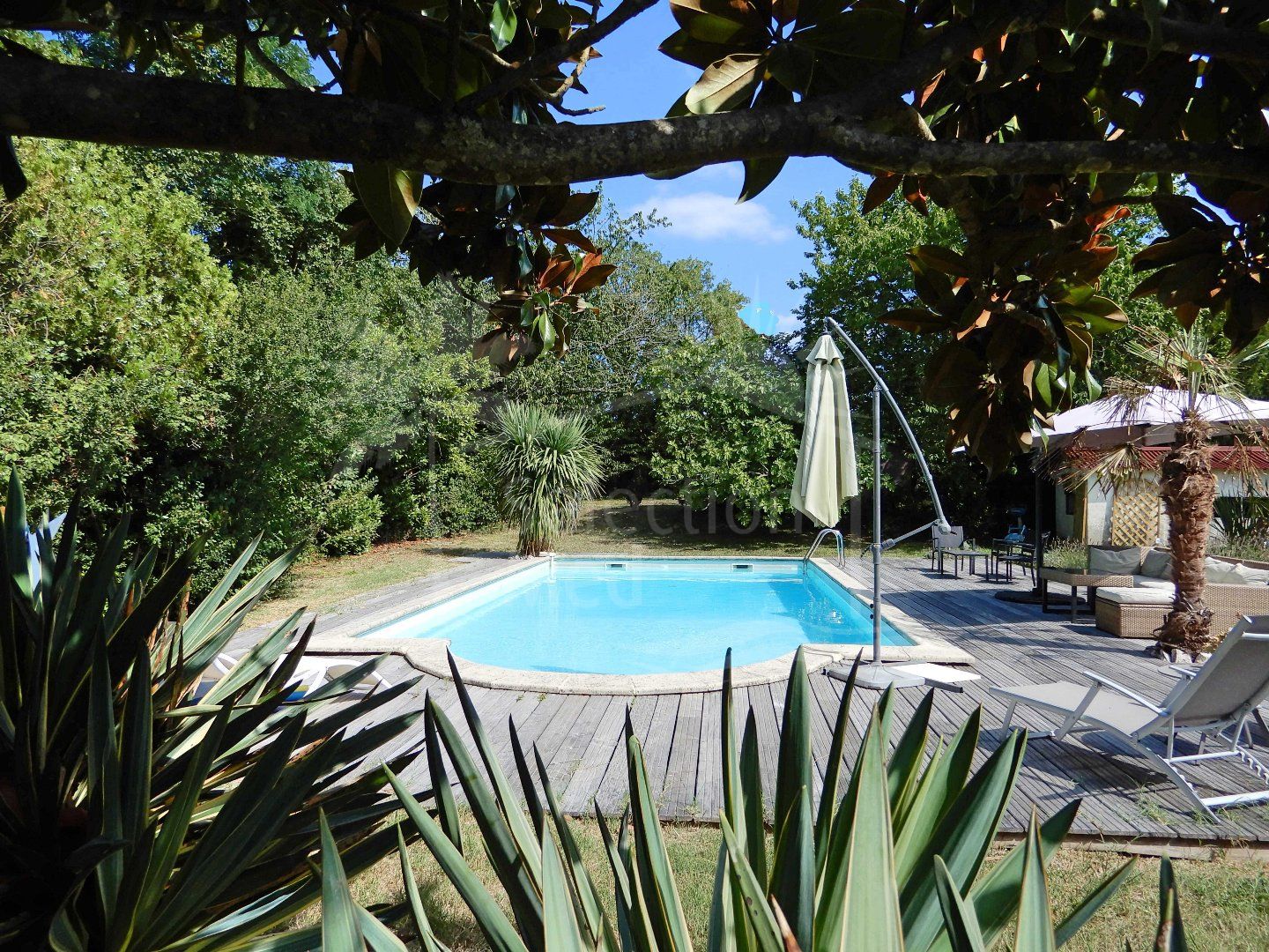 Mid century Manor house, pool and 1 acre park garden, 30 min drive from downtown TOULOUSE