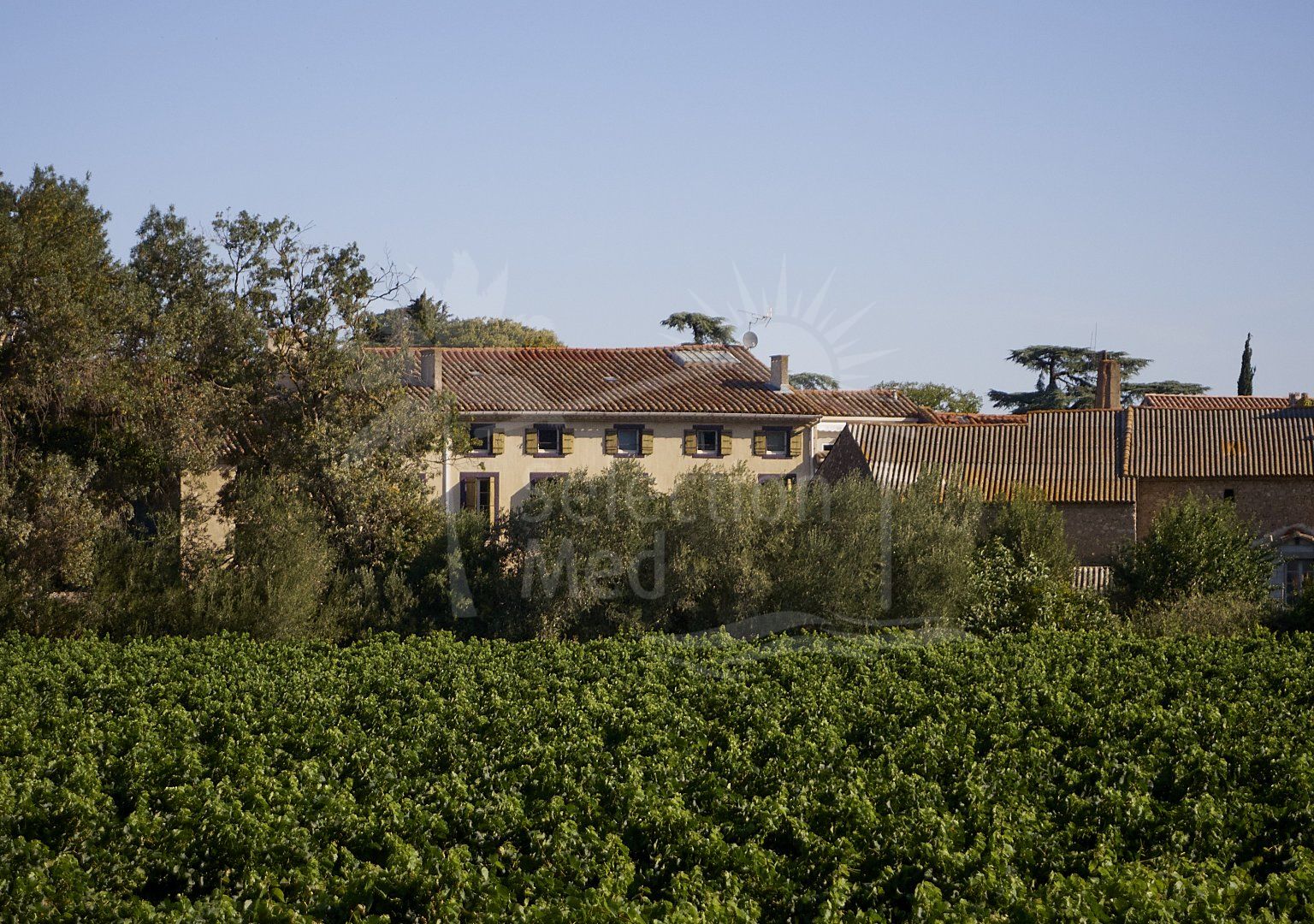 Renovated wine domaine, 980 M2, many orginal details: 5 appartments + 4 BnB rooms + large barn 15 mn from NARBONNE