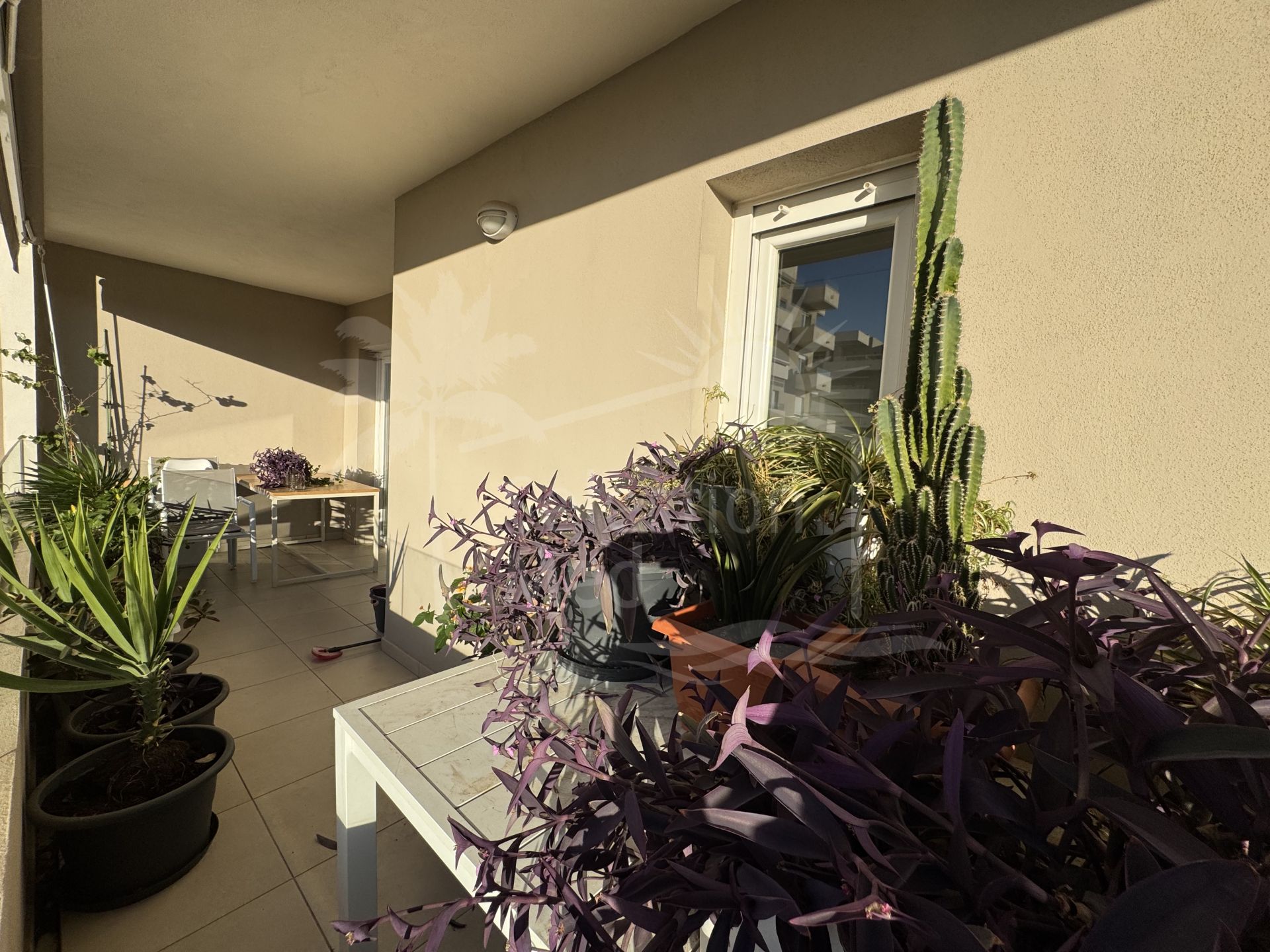 Apartamento moderno de 3 dormitorios en Nueva Andalucía con piscina en la azotea