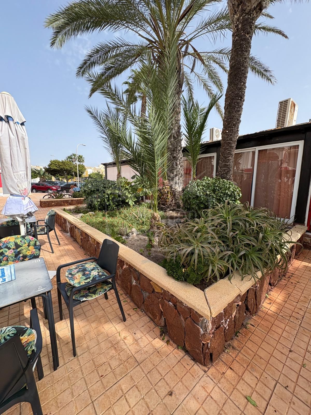 Premier Hospitality Opportunity: Landmark Cocktail Bar for Sale in the Best Tourist Area of Roquetas de Mar