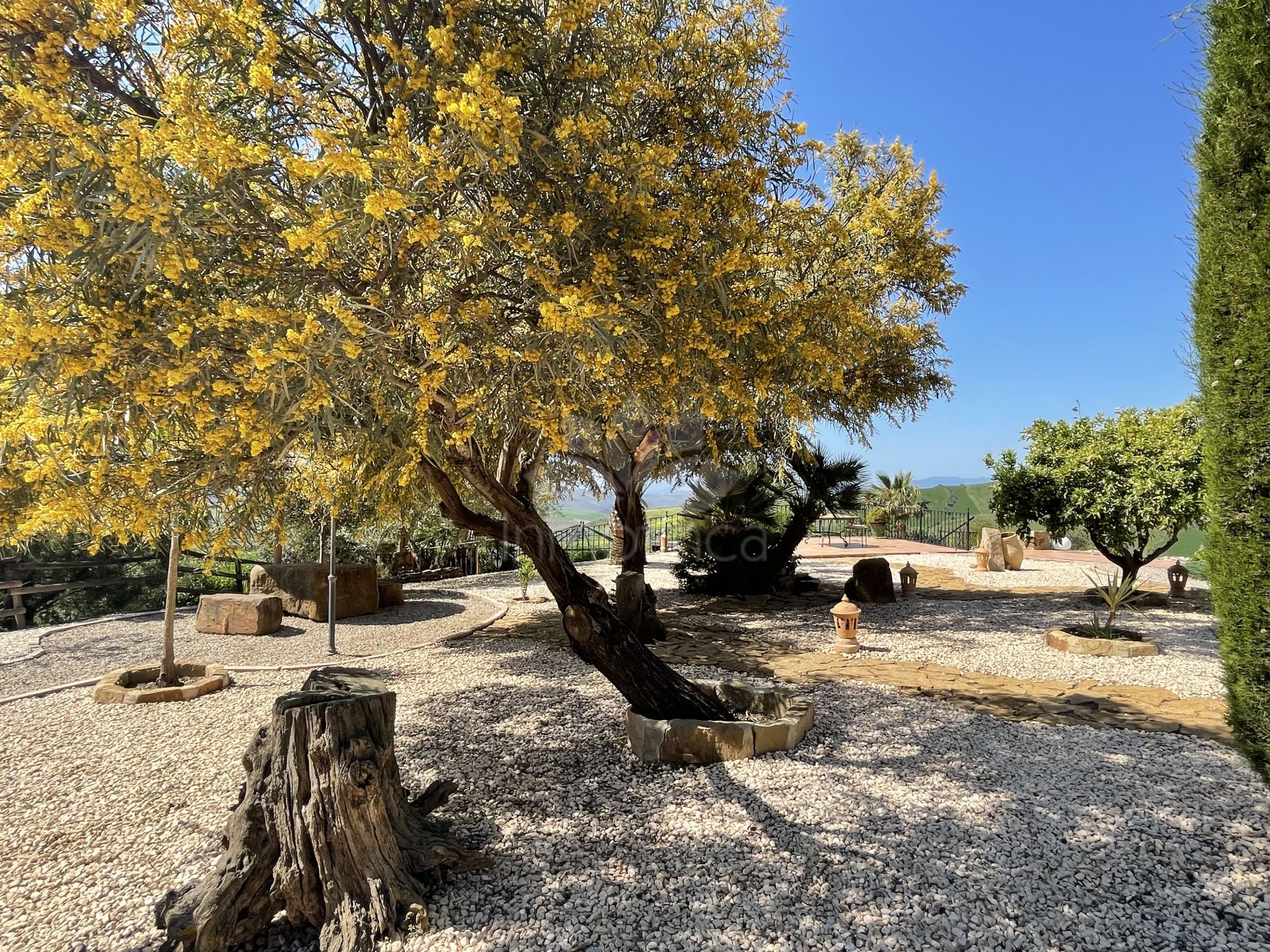 Villa in Villanueva de la Concepción