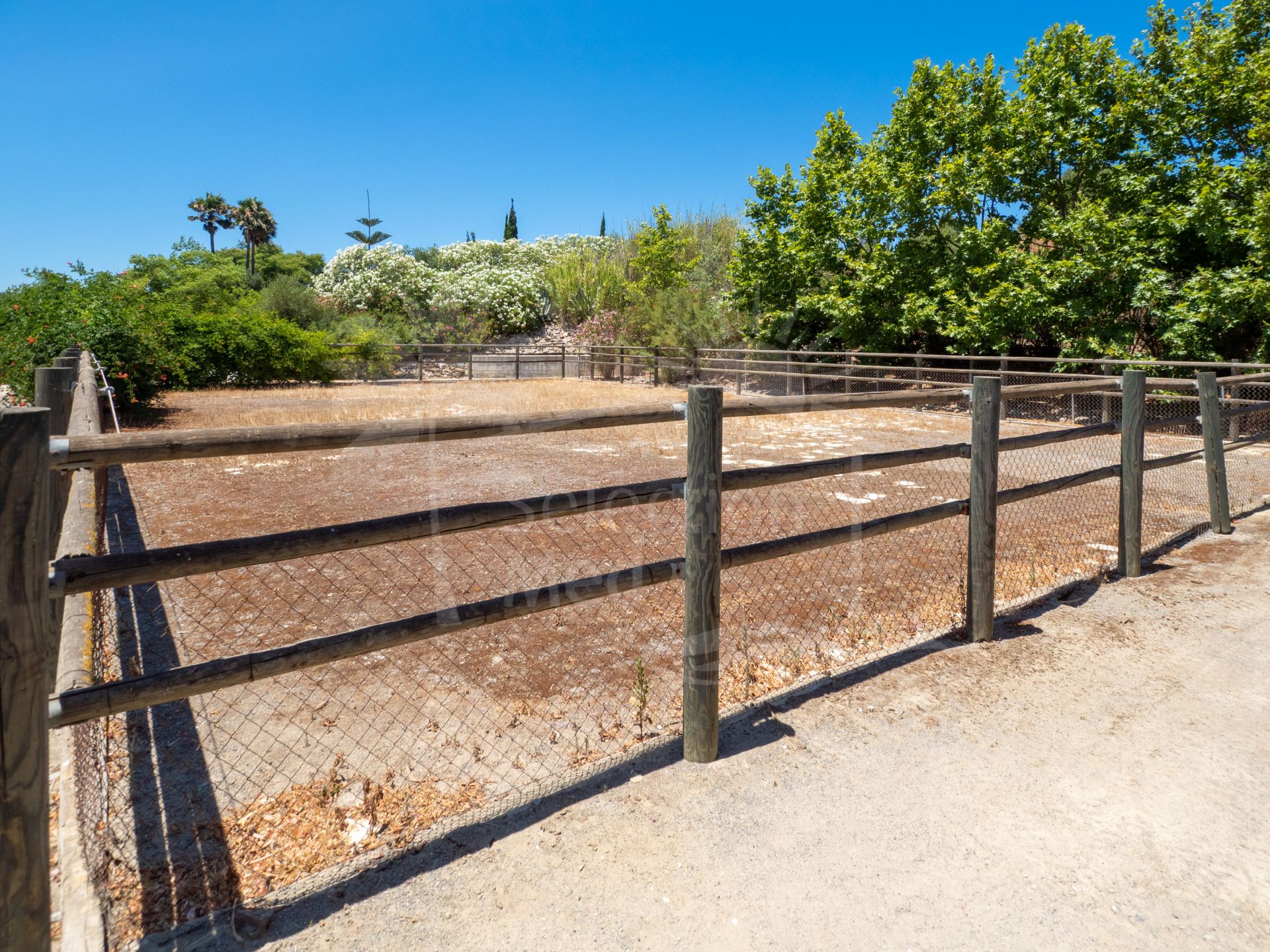 Unique Equestrian Country Estate Situated on an Elevated Plot of 19000m2 with a Beautiful Finca and Guest Accommodation, Only a Short Drive From Sotogrande.